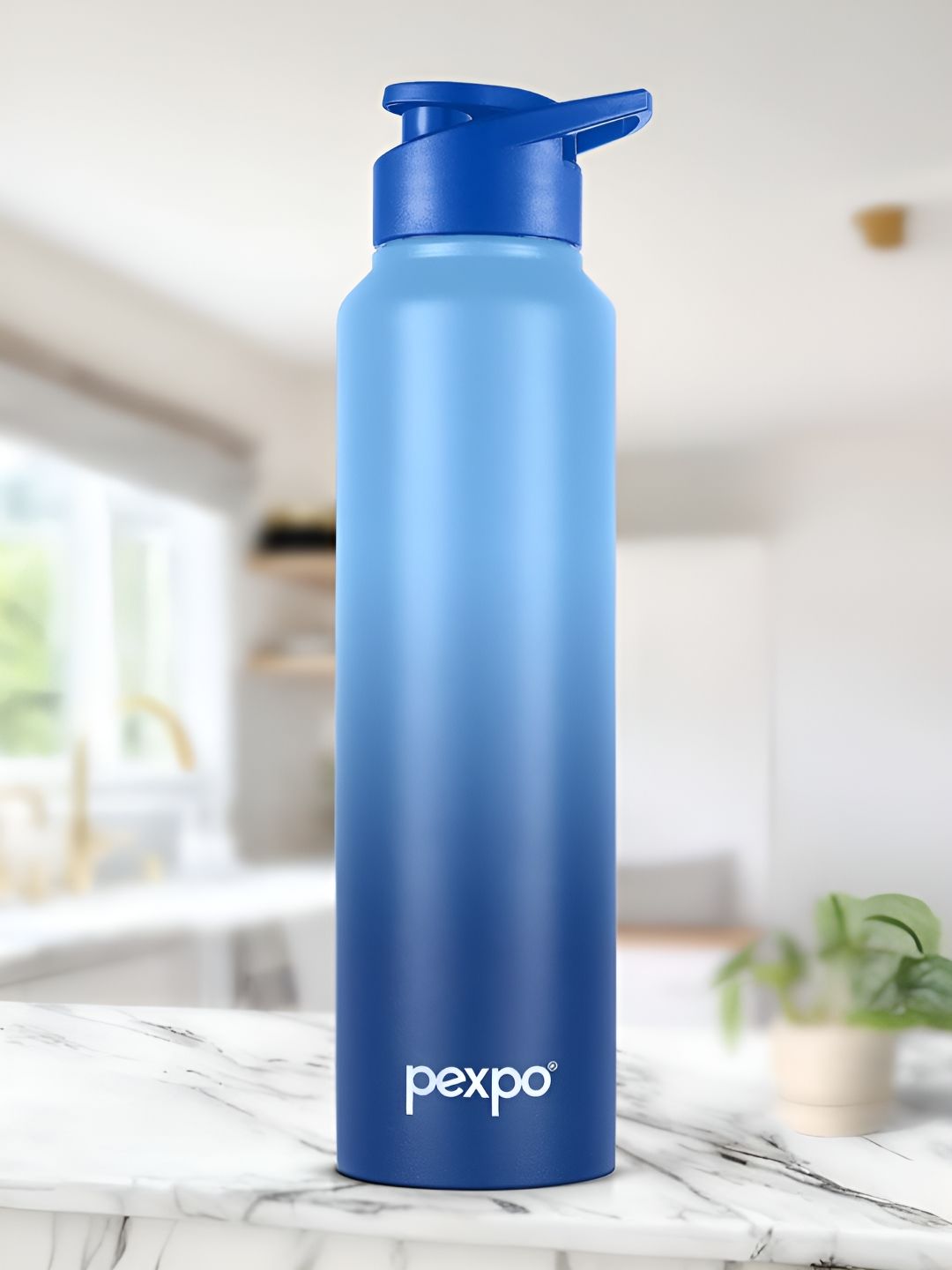 Pexpo Blue & Blue Single Stainless Steel Single Wall Vacuum Water Bottle