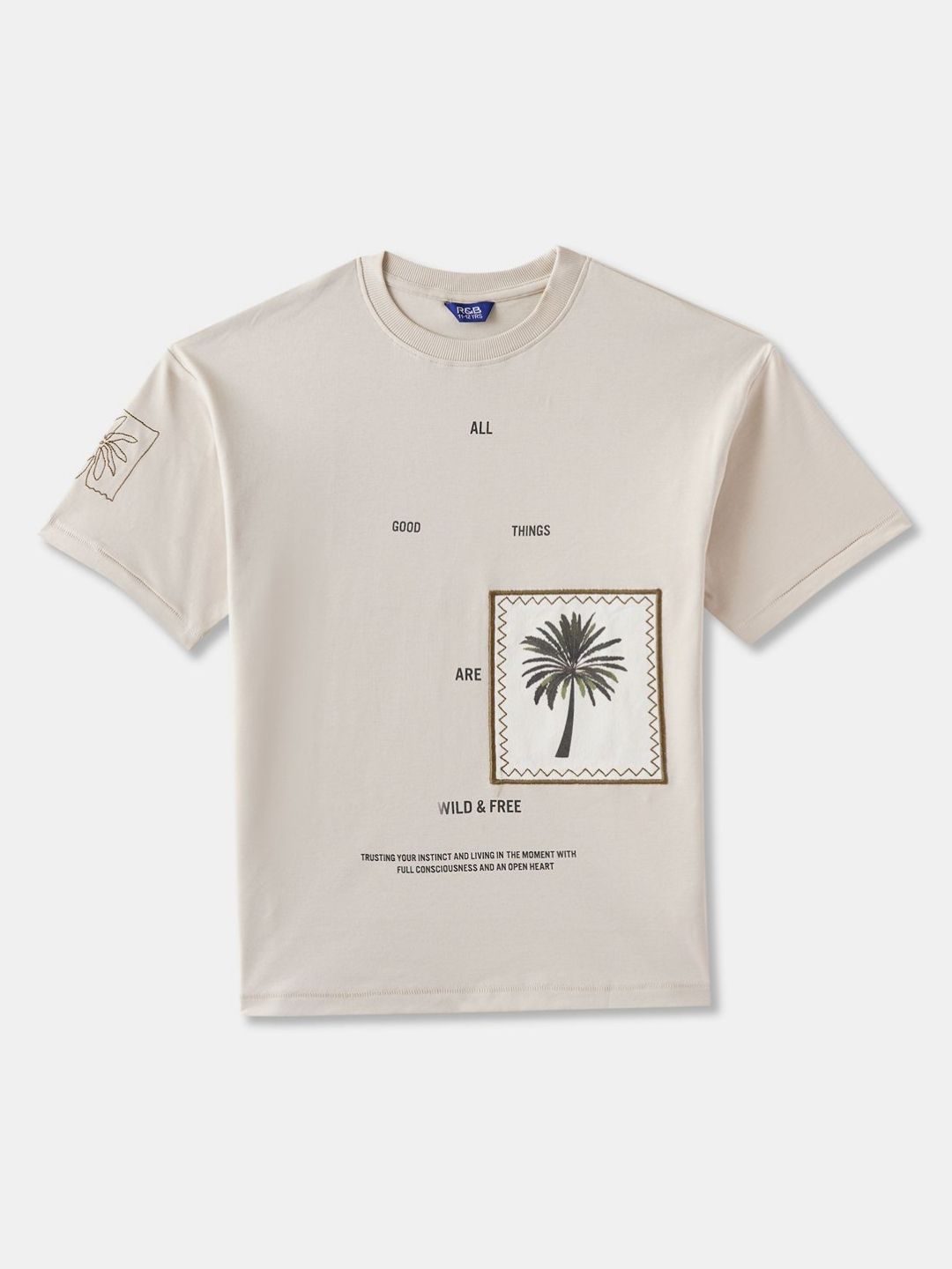 R&B Boys Graphic Printed Round Neck Cotton T-shirt-picture-55