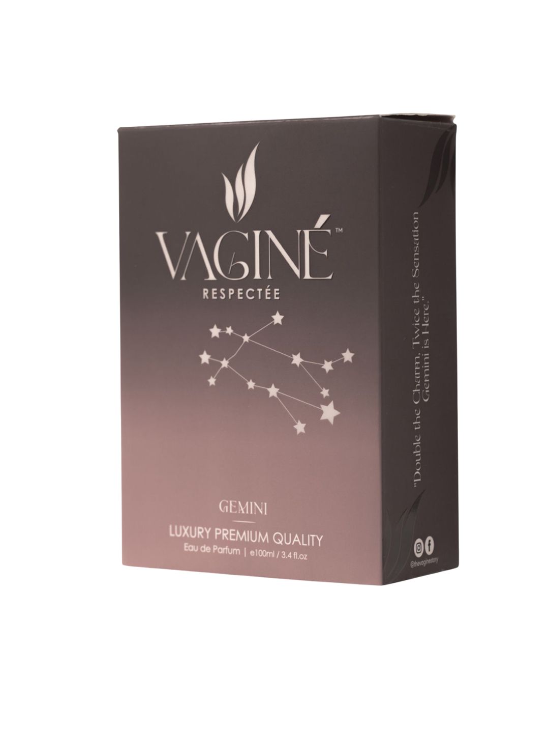 VAGINE Women Gemini Long Lasting Eau De Parfum - 100 ml-image-48