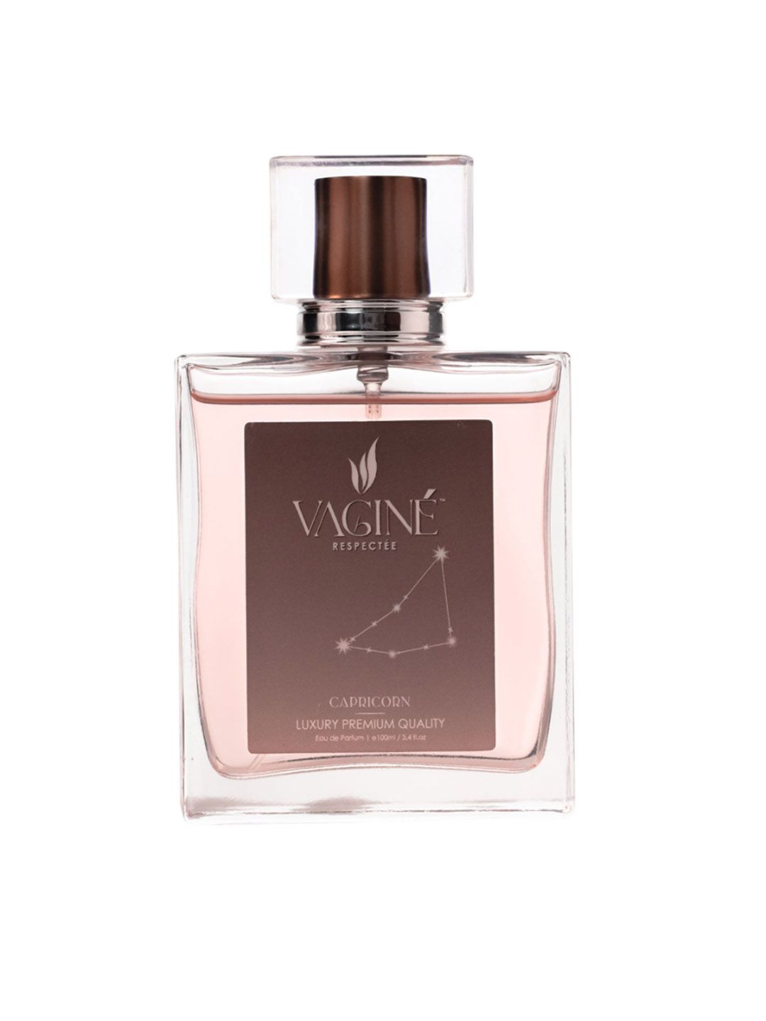 VAGIN Women Capricorn Long Lasting Eau De Parfum - 100 ml-image-25