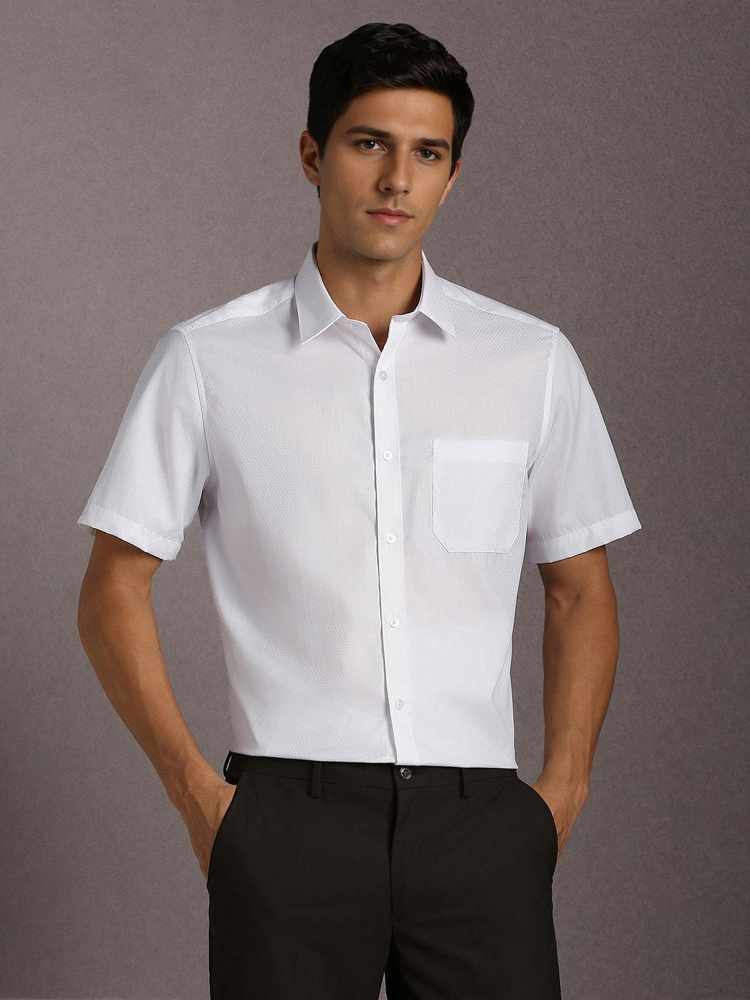 Louis Philippe Spread Collar Short Sleeves Regular Fit Pure Cotton Formal Shirt-picture-29