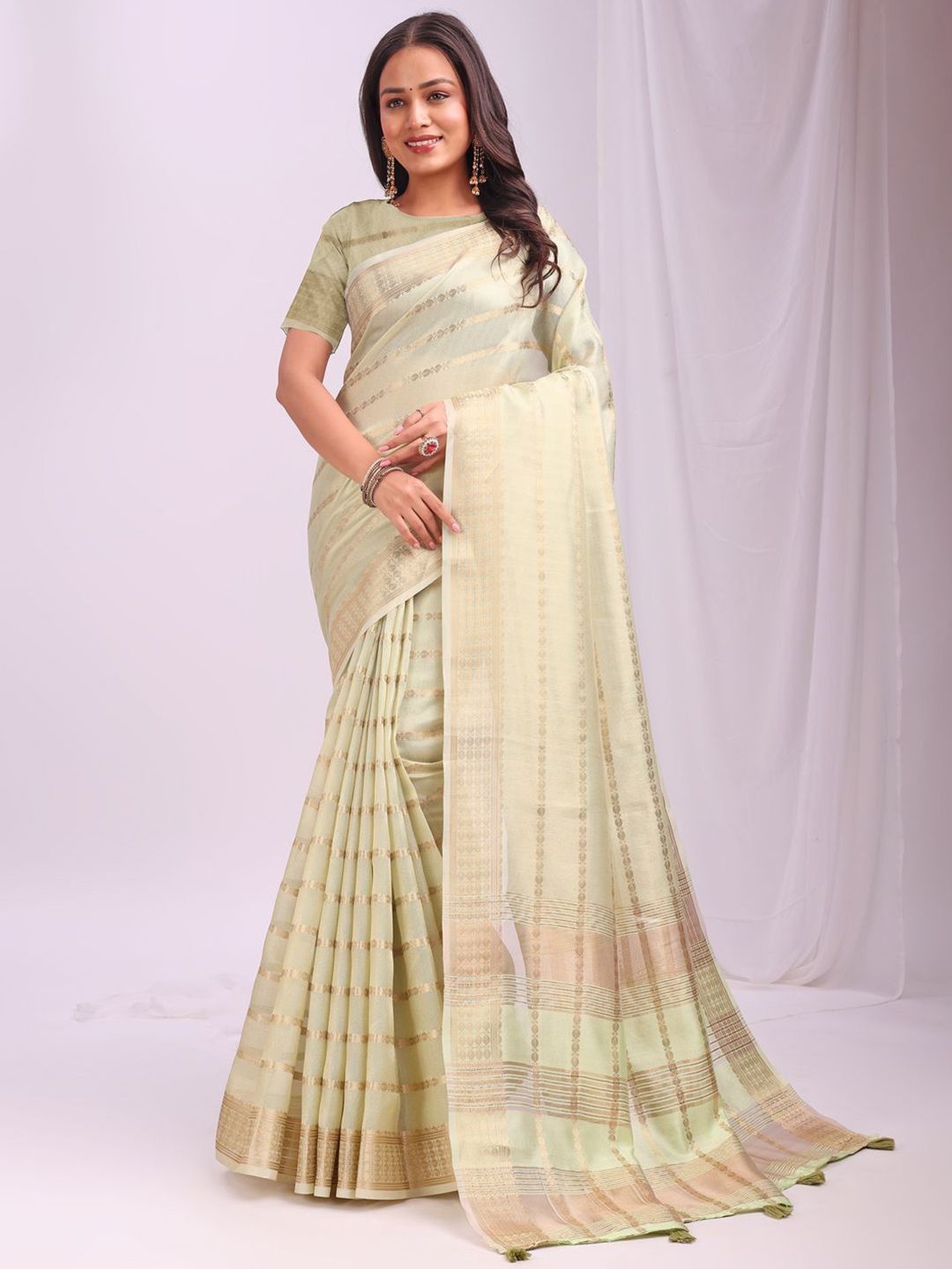 Astita Ethnic Motifs Zari Organza Saree-picture-35
