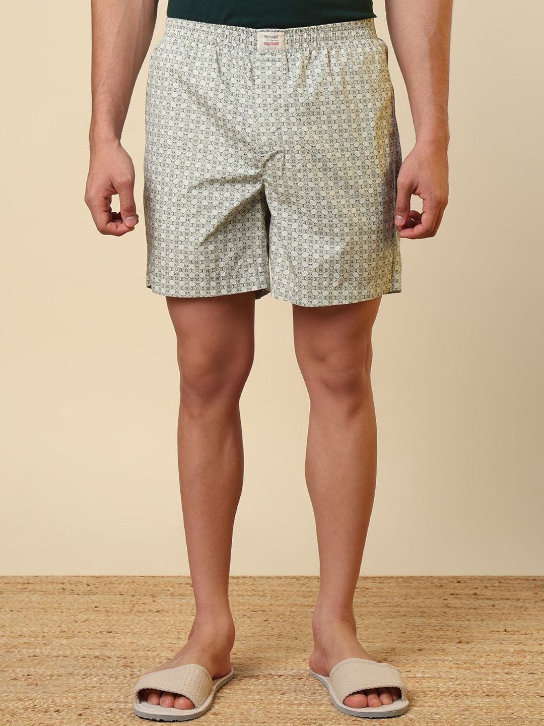 SleepZ by Raymond Printed Pure Cotton Mid-Rise Boxer AHBA00041-N3-picture-33