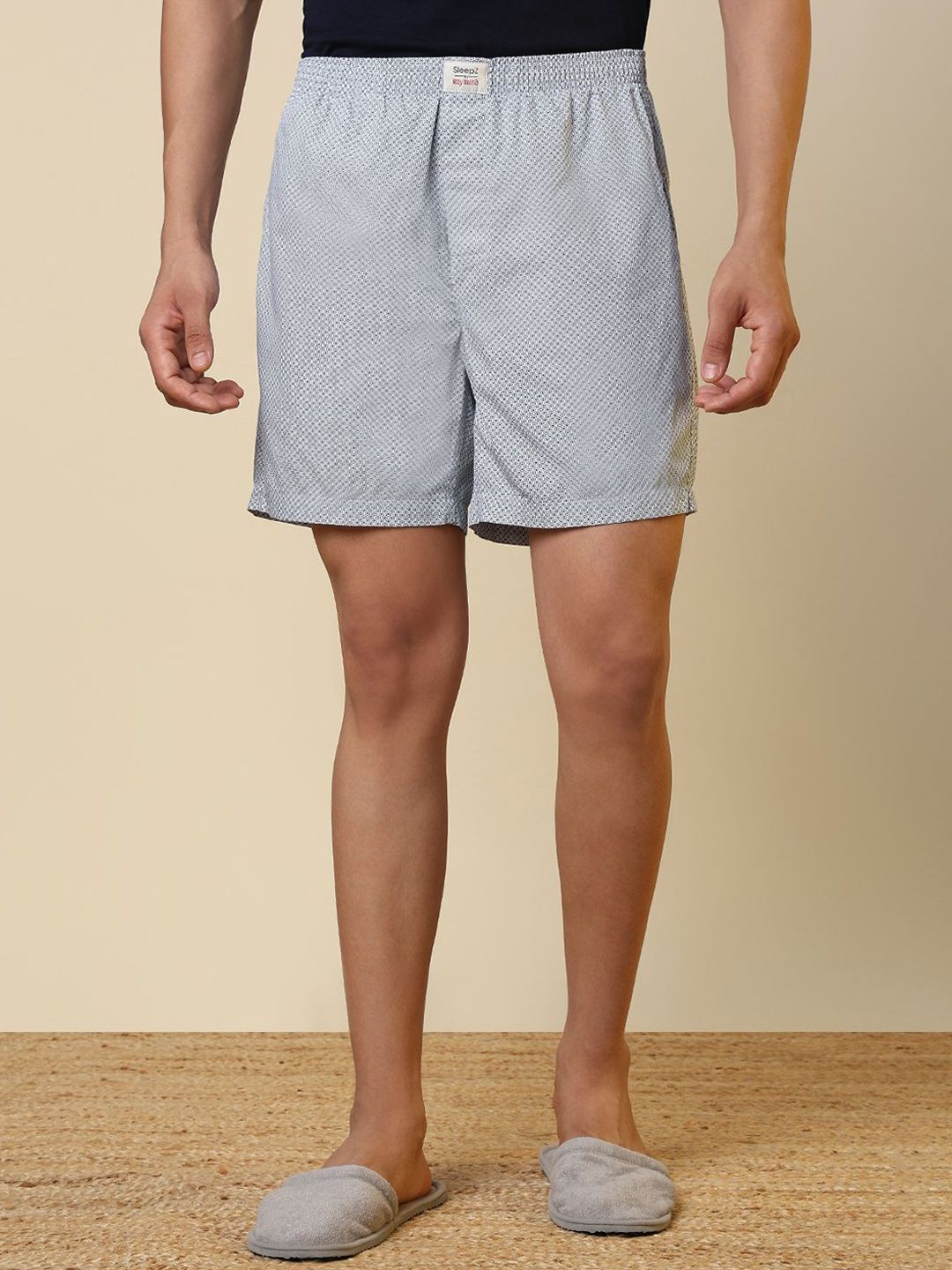 SleepZ by Raymond Printed Pure Cotton Mid-Rise Boxer AHBA00061-W8-picture-25