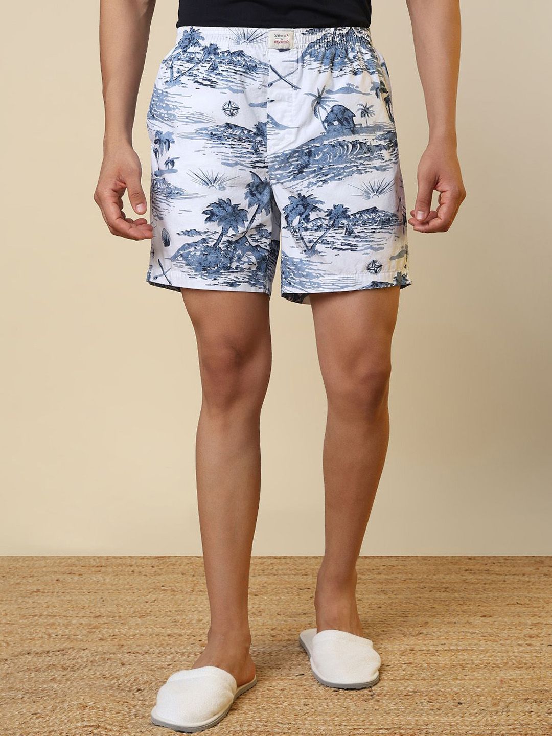 SleepZ by Raymond Printed Pure Cotton Mid-Rise Boxer AHBA00031-W4-picture-27