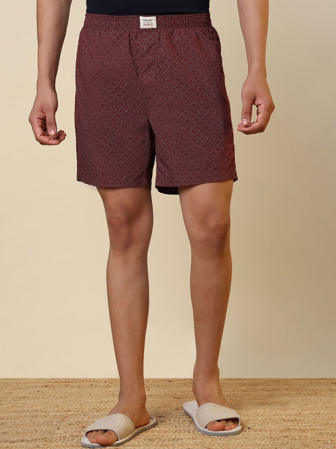 SleepZ by Raymond Printed Pure Cotton Mid-Rise Boxer AHBA00059-R8-picture-30