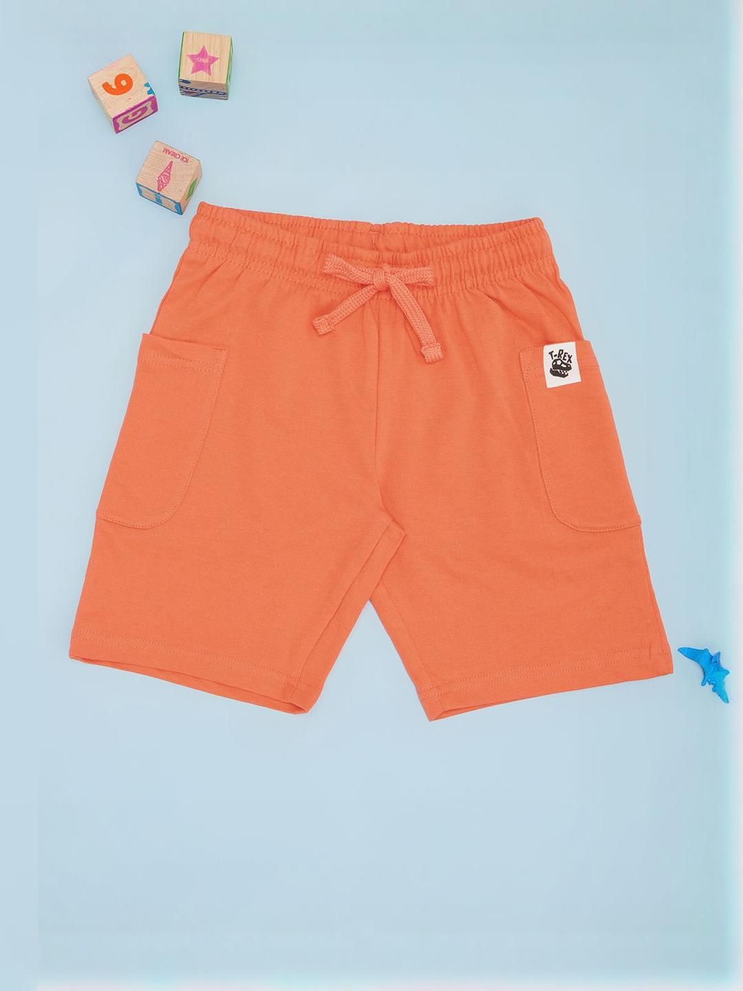 Pantaloons Junior Boys Mid-Rise Pure Cotton Shorts-picture-30