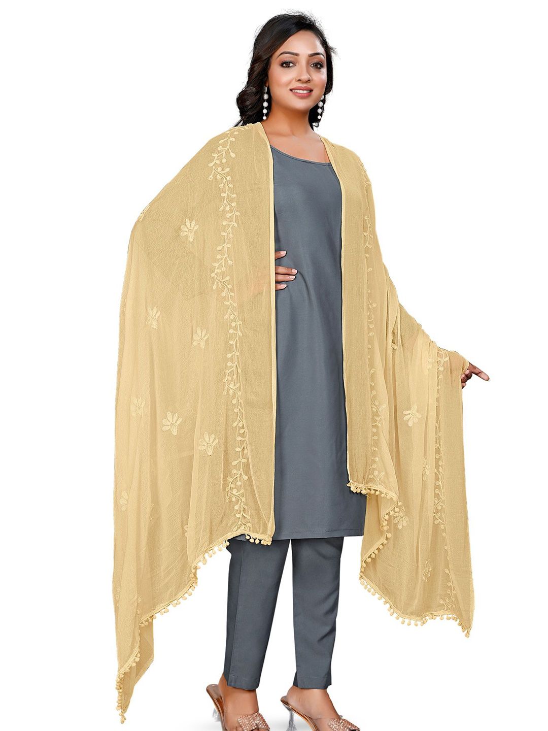 Kemza Ethnic Motifs Embroidered Thread Work Chiffon Dupatta-picture-32