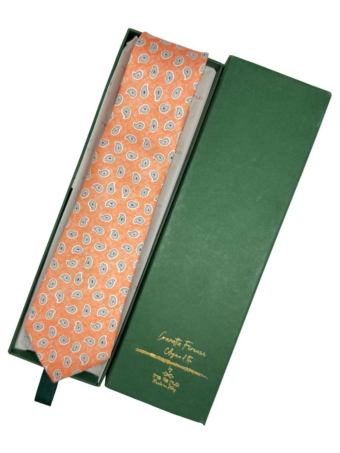 The Tie Hub Paisley Printed Skinny Ties-image-24