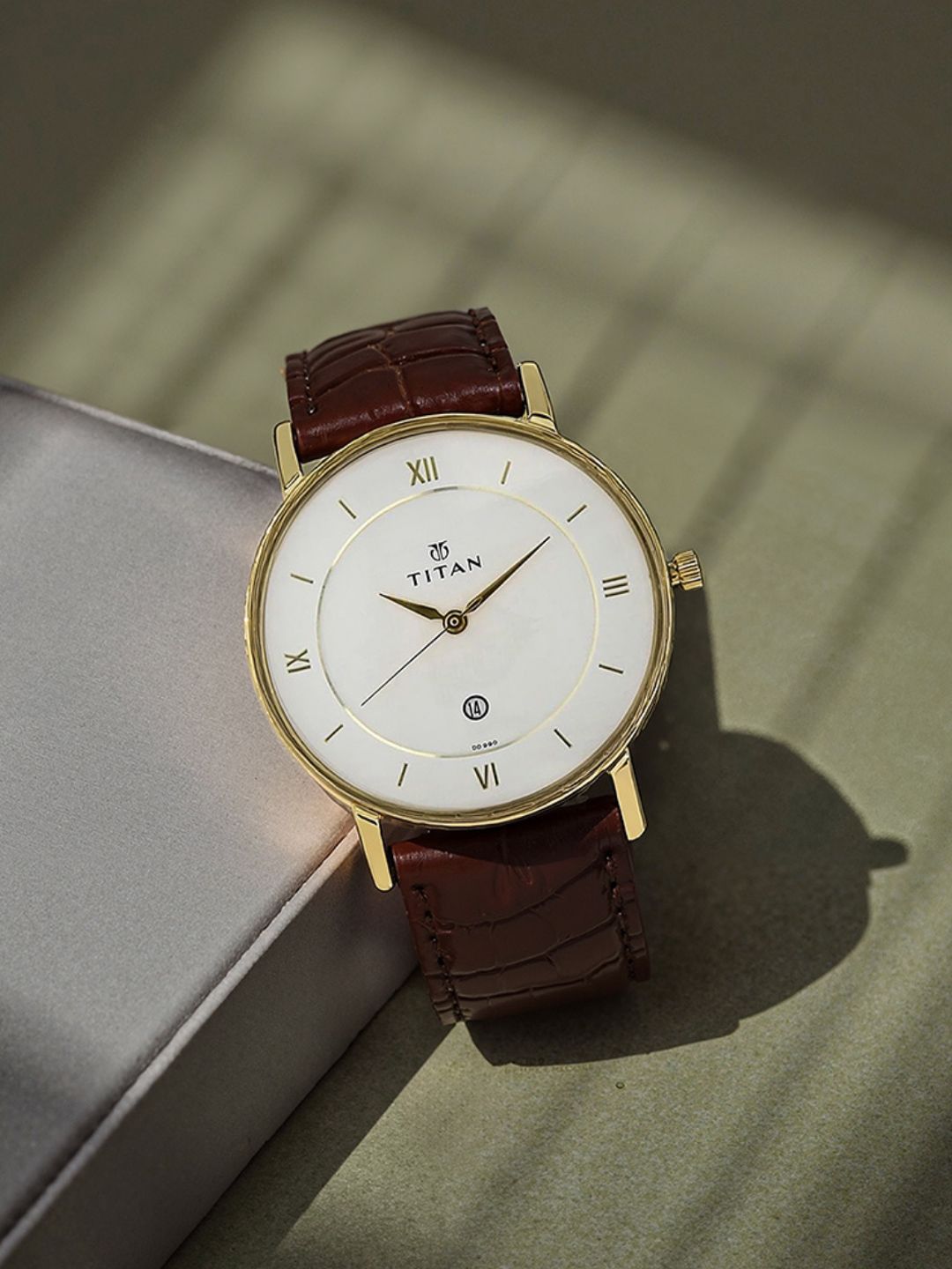 Titan Men White Dial Watch 9162YL01