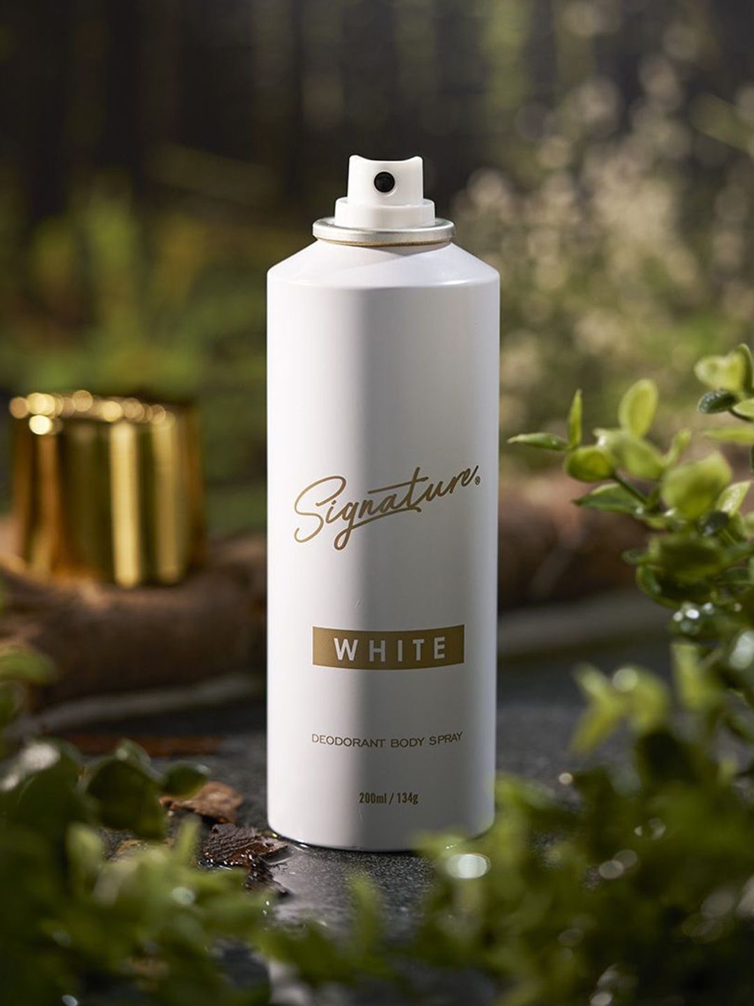 Signature Women Set Of 3 White Long Lasting Body Spray - 200 ml Each-picture-34