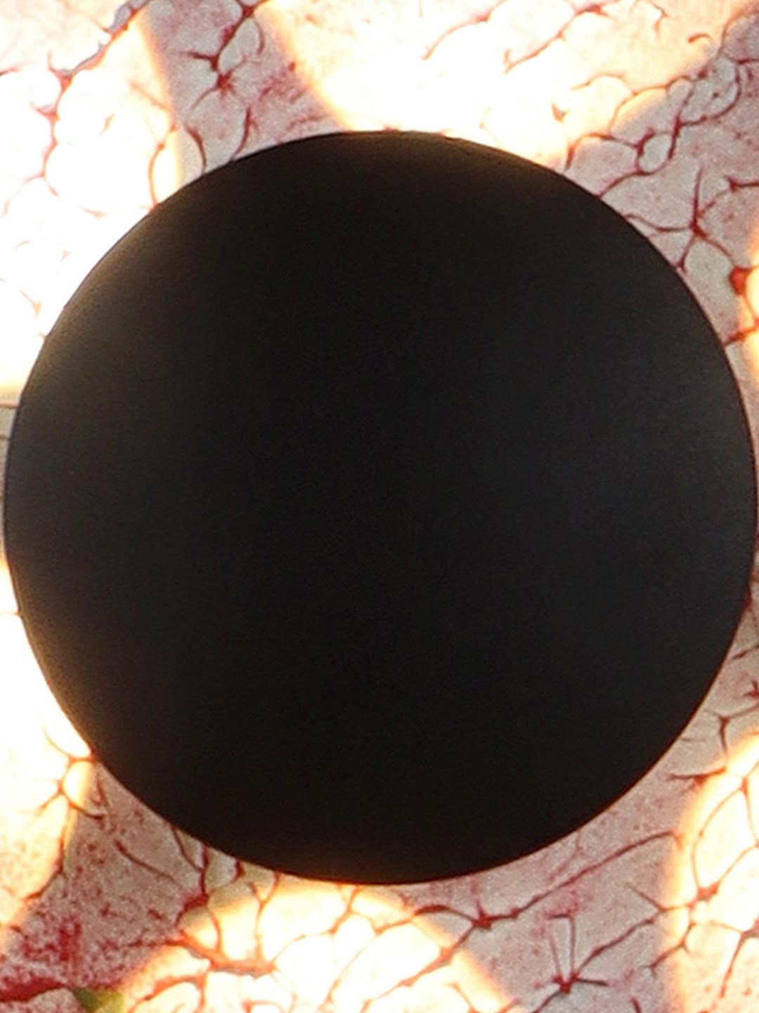 Deco Home Unisex Black Wall Lamps-image-46
