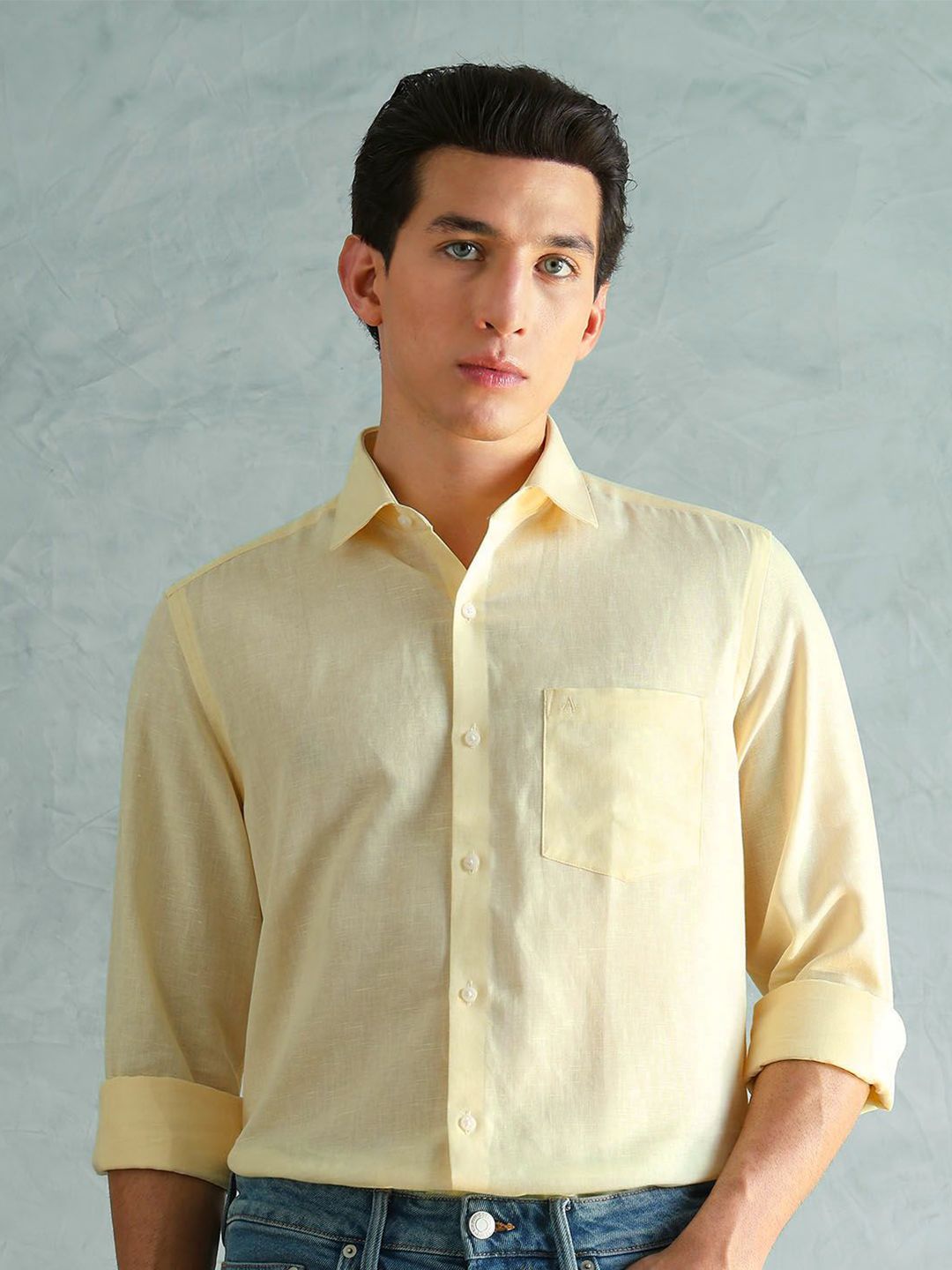 Arrow Slim Fit Long Sleeves Cotton Linen Formal Shirt-picture-37