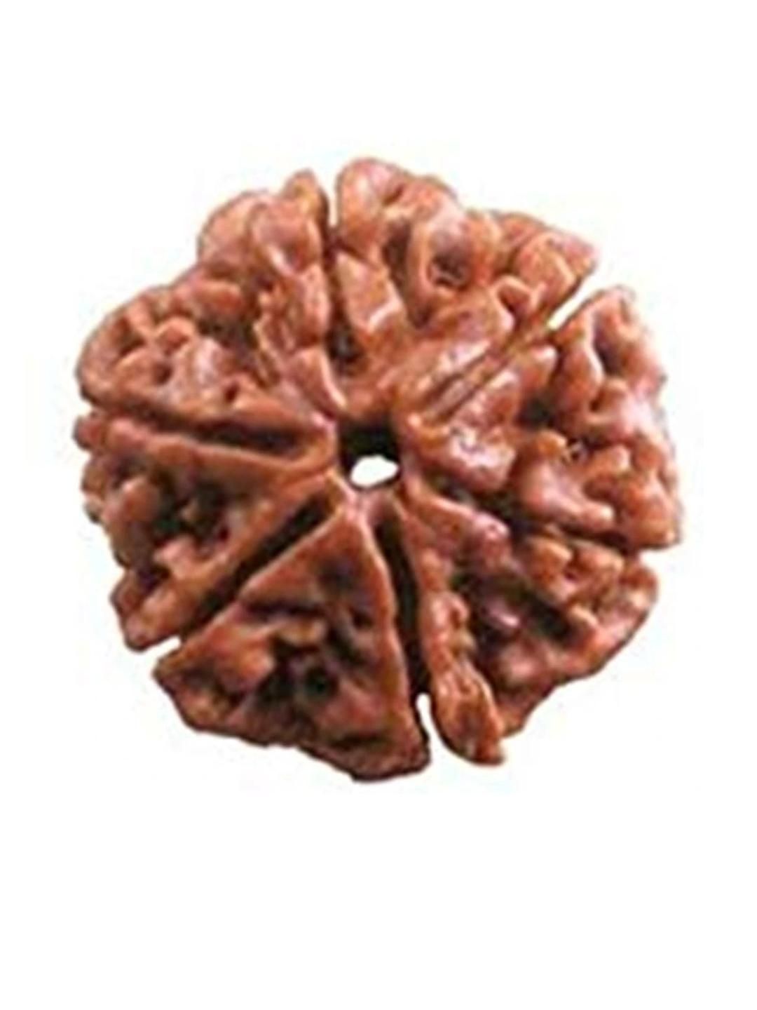 RAVIOUR LIFESTYLE Unisex Brown Pendant-picture-41