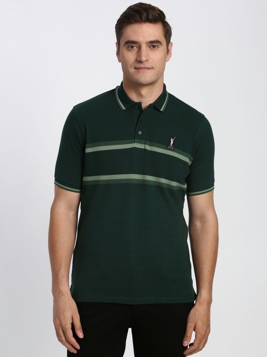 Peter England Casuals Men Striped Polo Collar Cotton T-shirt-picture-48