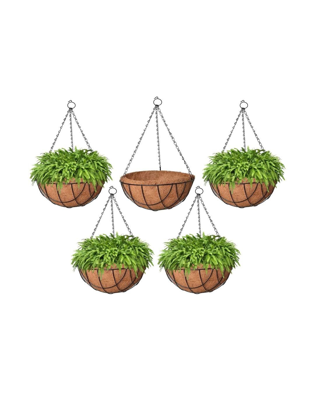 10 Inch Coir Hanging Basket with Metal Hanging Chain