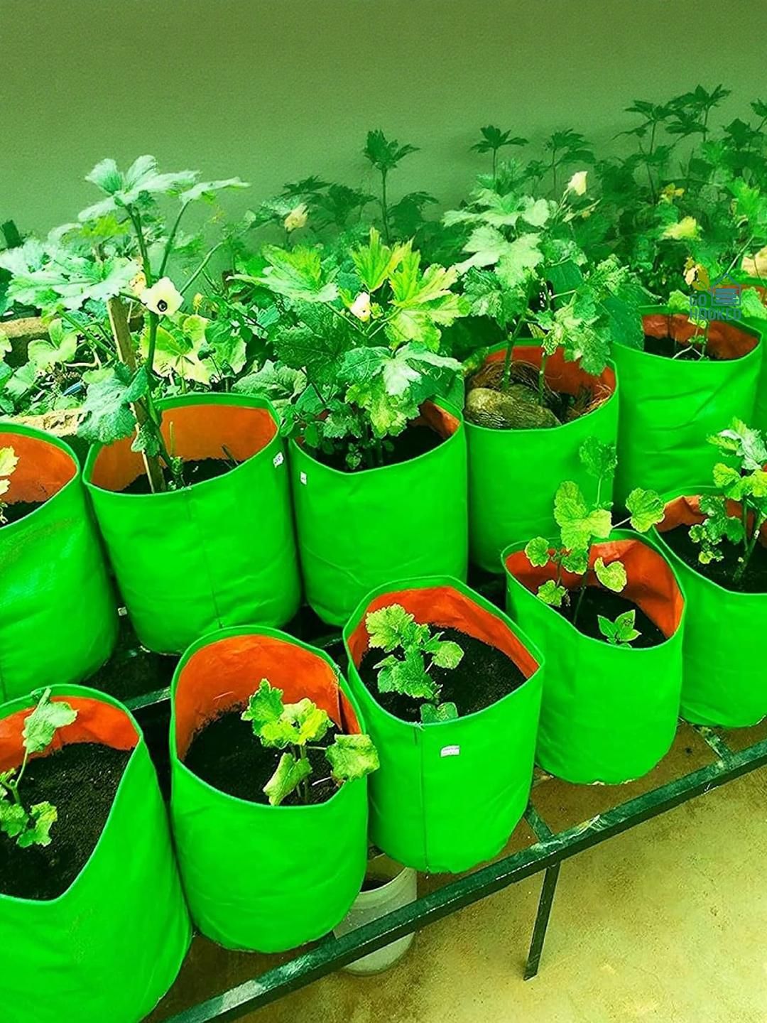 Grow Bags for Gardening Vegetables Herbs & Flowers Planter Bags-image-5