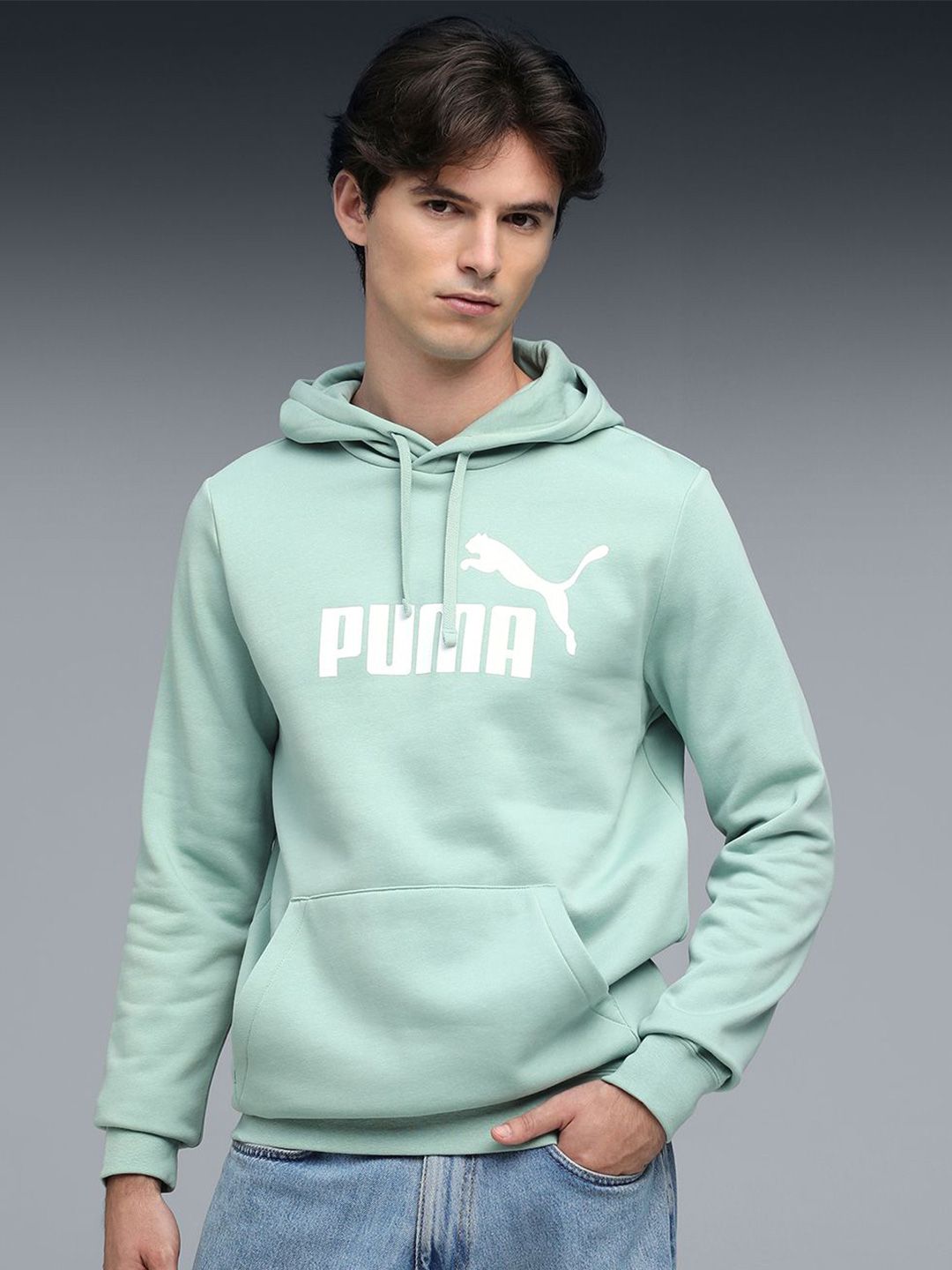 Puma Essentials No. 1 Logo Men's Comfort Hoodie-picture-18