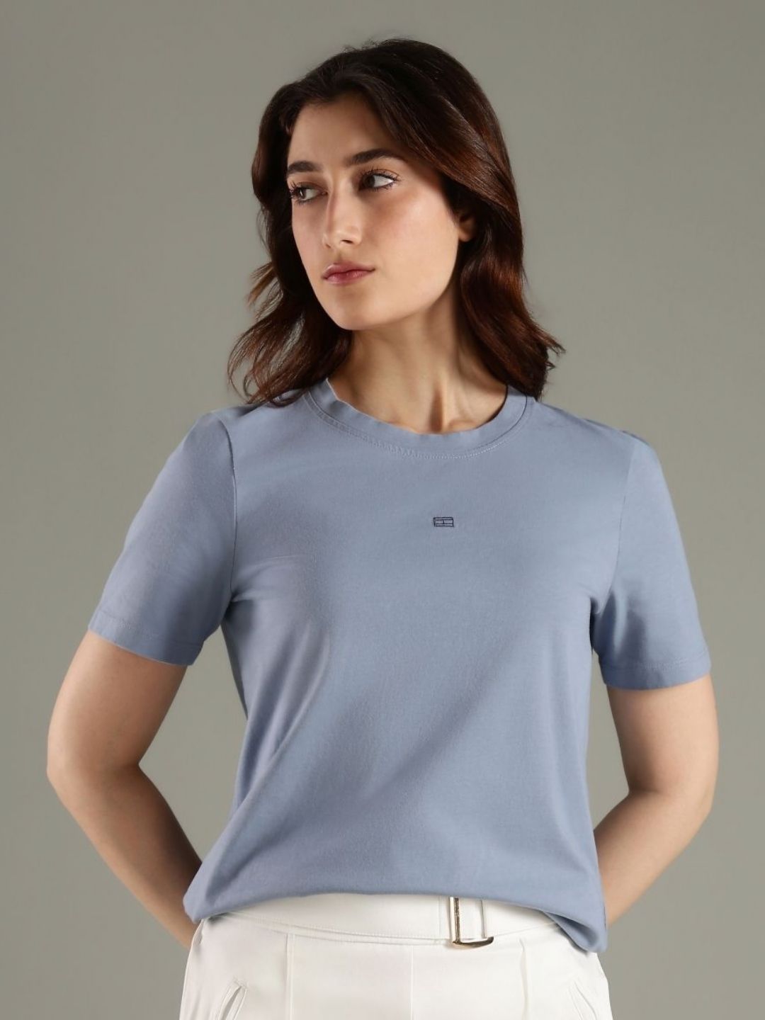 Tommy Hilfiger Round Neck Regular Fit Cotton T-shirt-picture-16