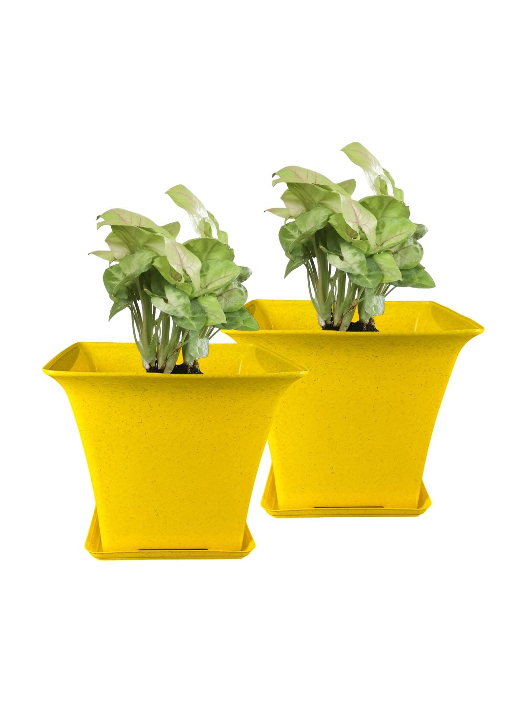 GARDEN'S NEED 2-Pcs Yellow Textured Planters-picture-12