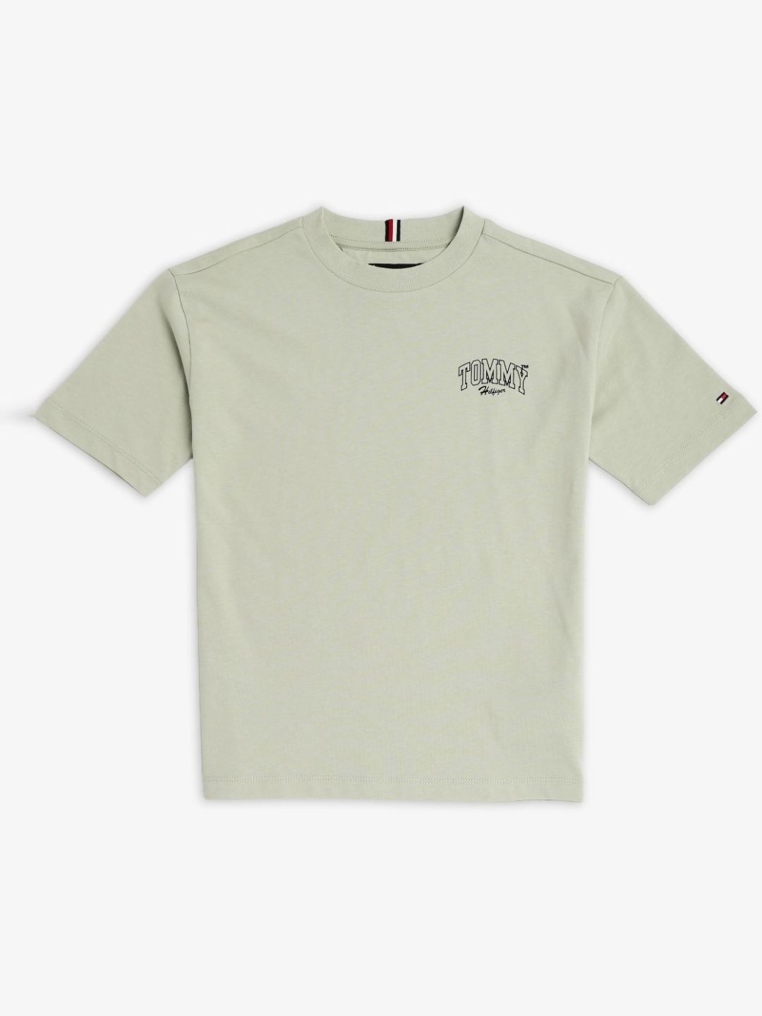 Tommy Hilfiger Boys Brand Logo Printed Pure Cotton Relaxed Fit T-shirt-picture-33