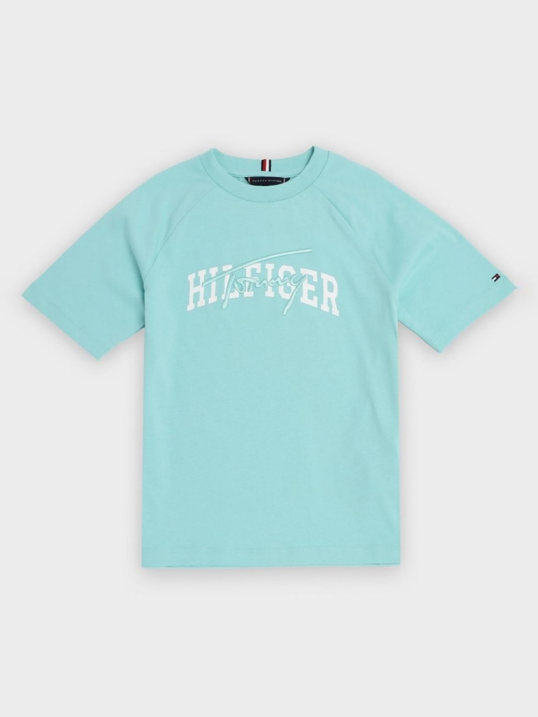 Tommy Hilfiger Boys Brand Logo Printed Relaxed Fit Cotton T-shirt-picture-25
