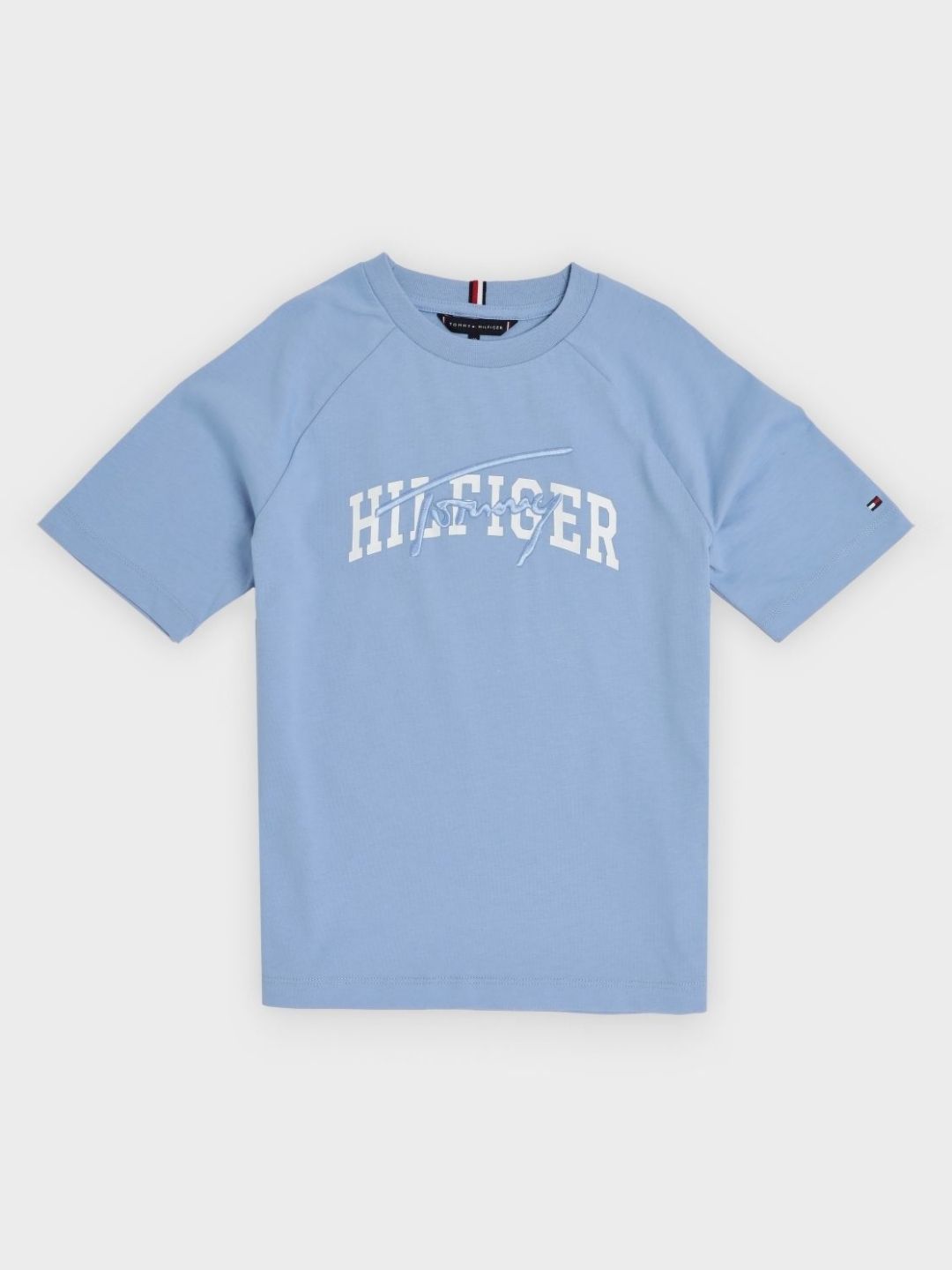 Tommy Hilfiger Boys Brand Logo Printed Pure Cotton Relaxed Fit T-shirt-picture-13