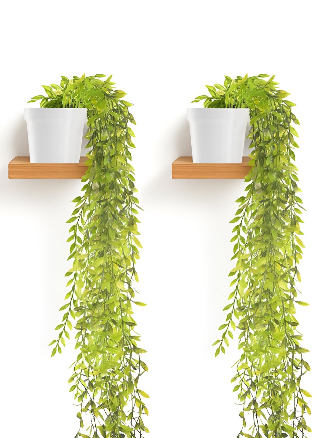 Kuber Industries White & Green 2 Pieces Artificial Plants With Pot-picture-23