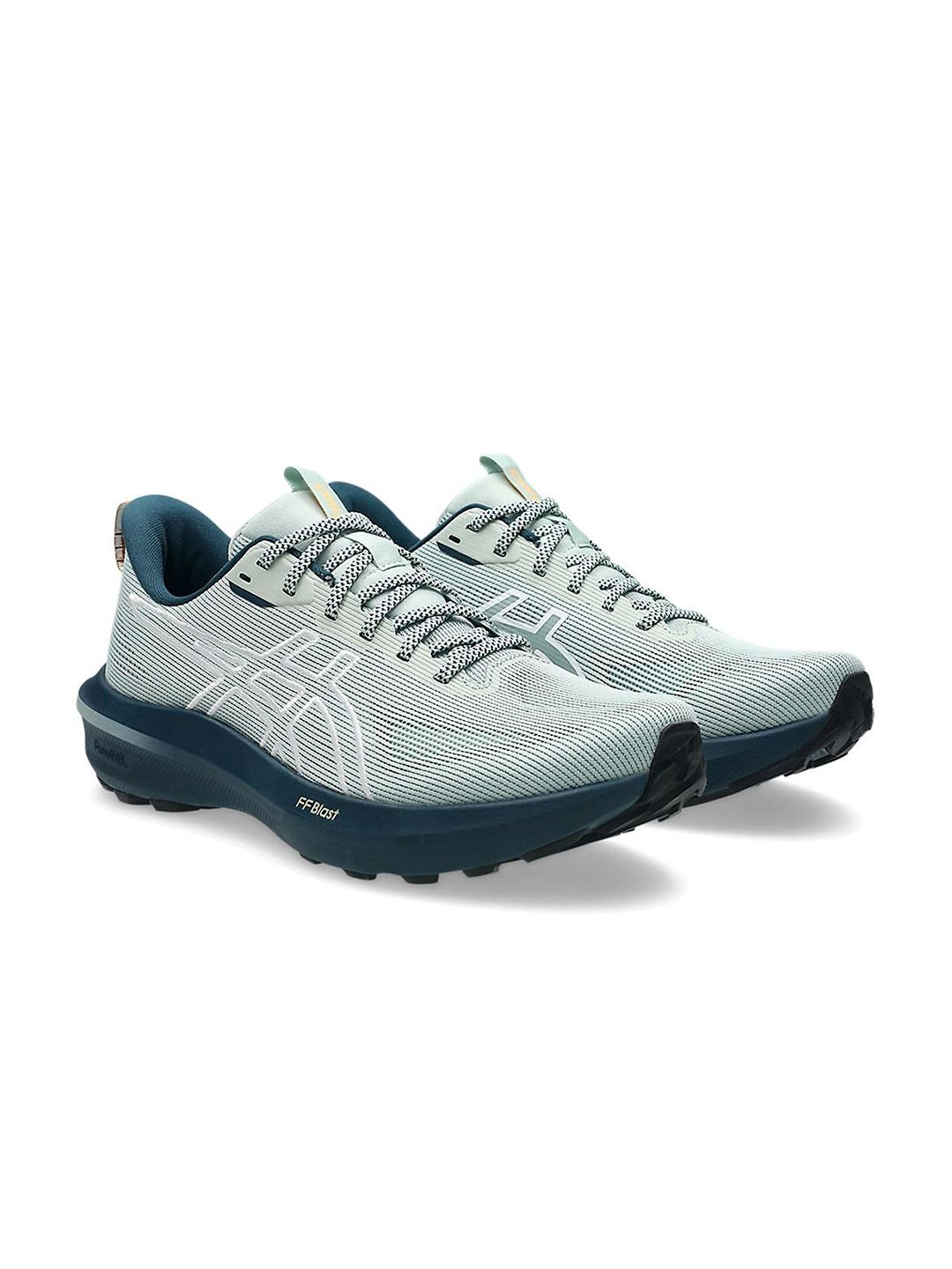 ASICS GT-1000 14 TR Men Running Shoes