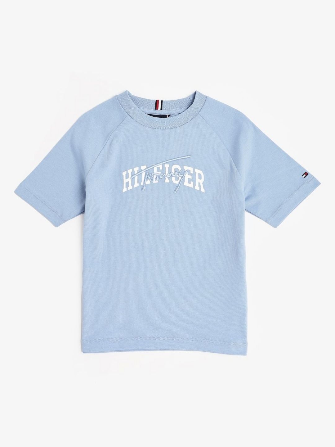 Tommy Hilfiger Boys Brand Logo Printed Round Neck Knits Cotton Relaxed Fit T-shirt-picture-29