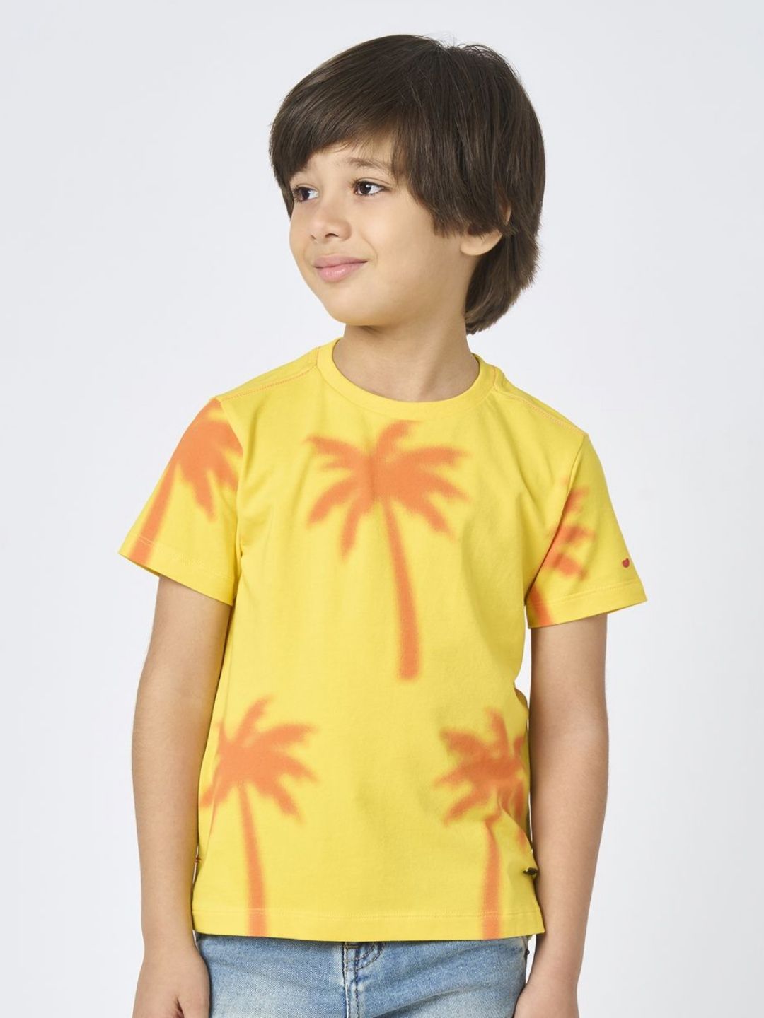 Ed-a-Mamma Boys Conversational Printed Round Neck Cotton T-shirt-picture-10