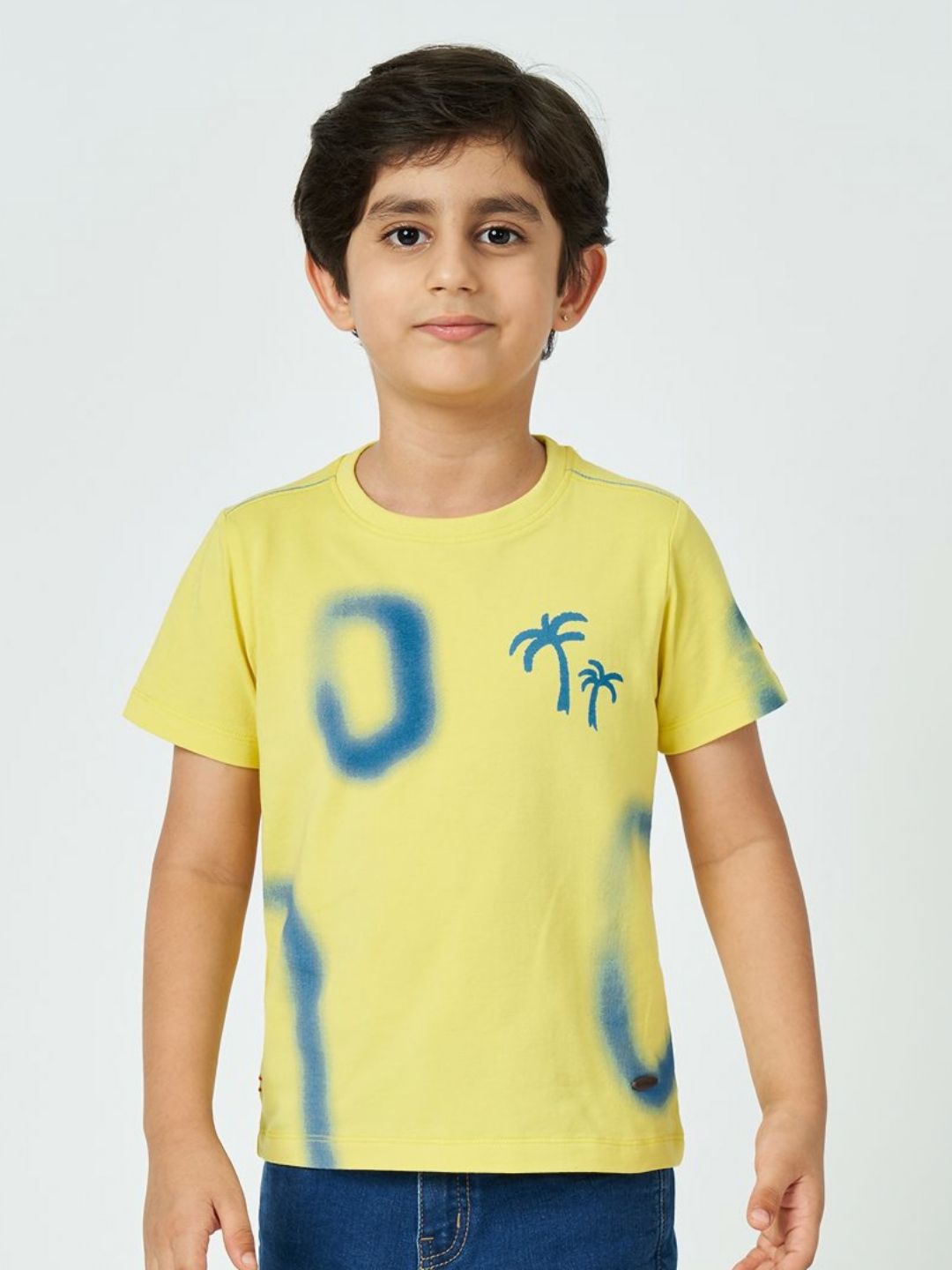 Ed-a-Mamma Boys Graphic Printed Round Neck Cotton T-shirt-picture-29