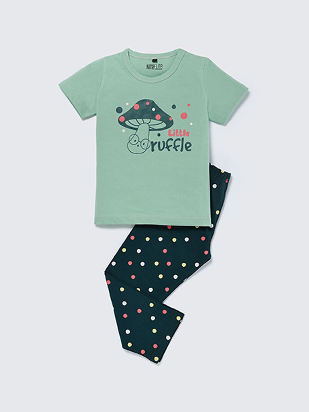 Nite Flite Unisex Kids Printed Night suit-picture-22