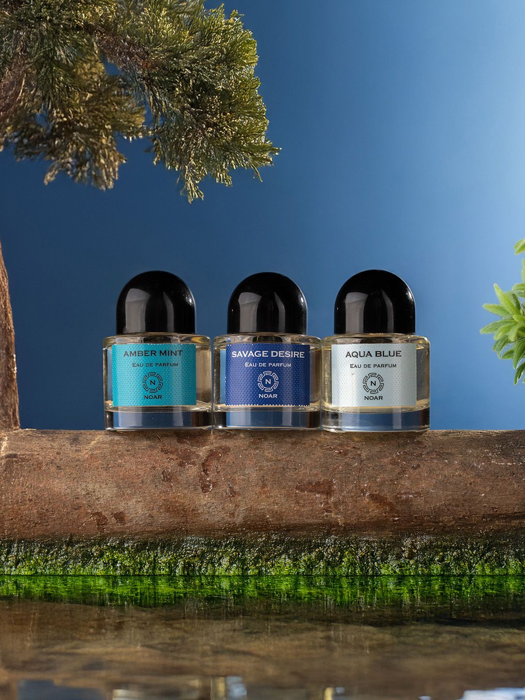 NOAR Men Set Of 3 Savage Desire- Aqua Blue & Amber Mint Eau De Parfum- 30 ml Each-image-29
