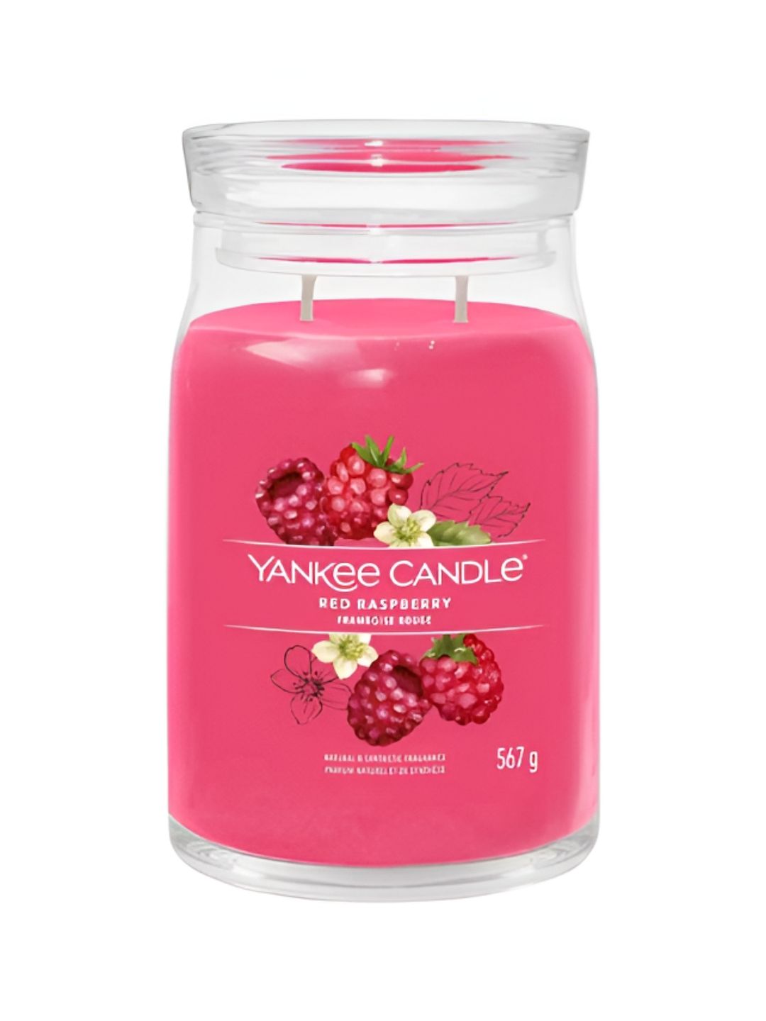 YANKEE CANDLE Red 1 pieces Jar Candle-image-34