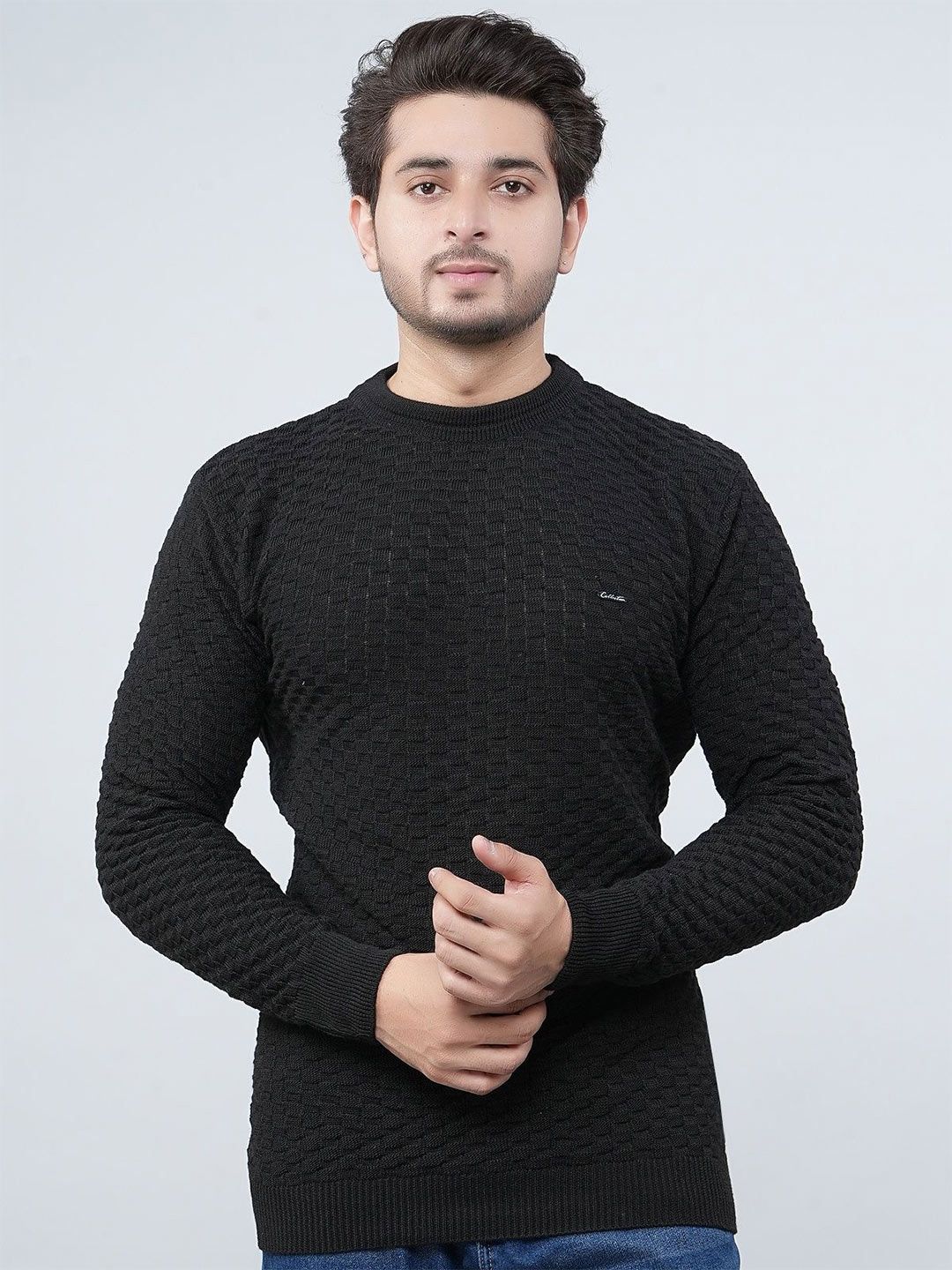 FEVERFEW Men Self Design Pullover-picture-32