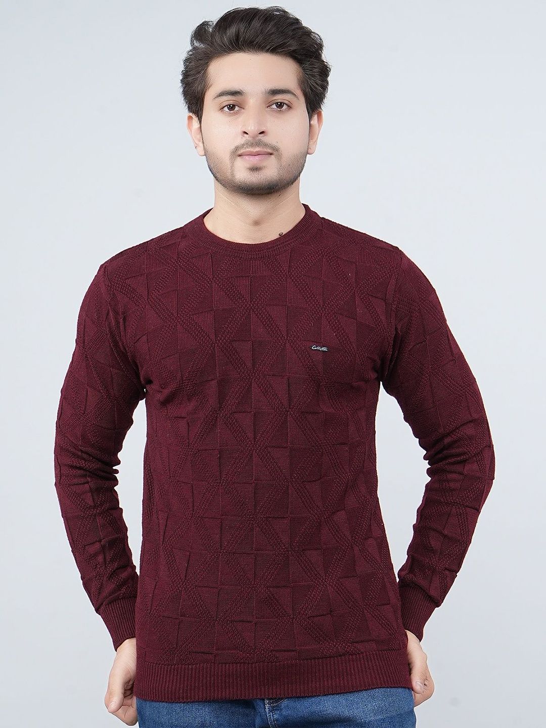 FEVERFEW Men Geometric Self Design Pullover-picture-20