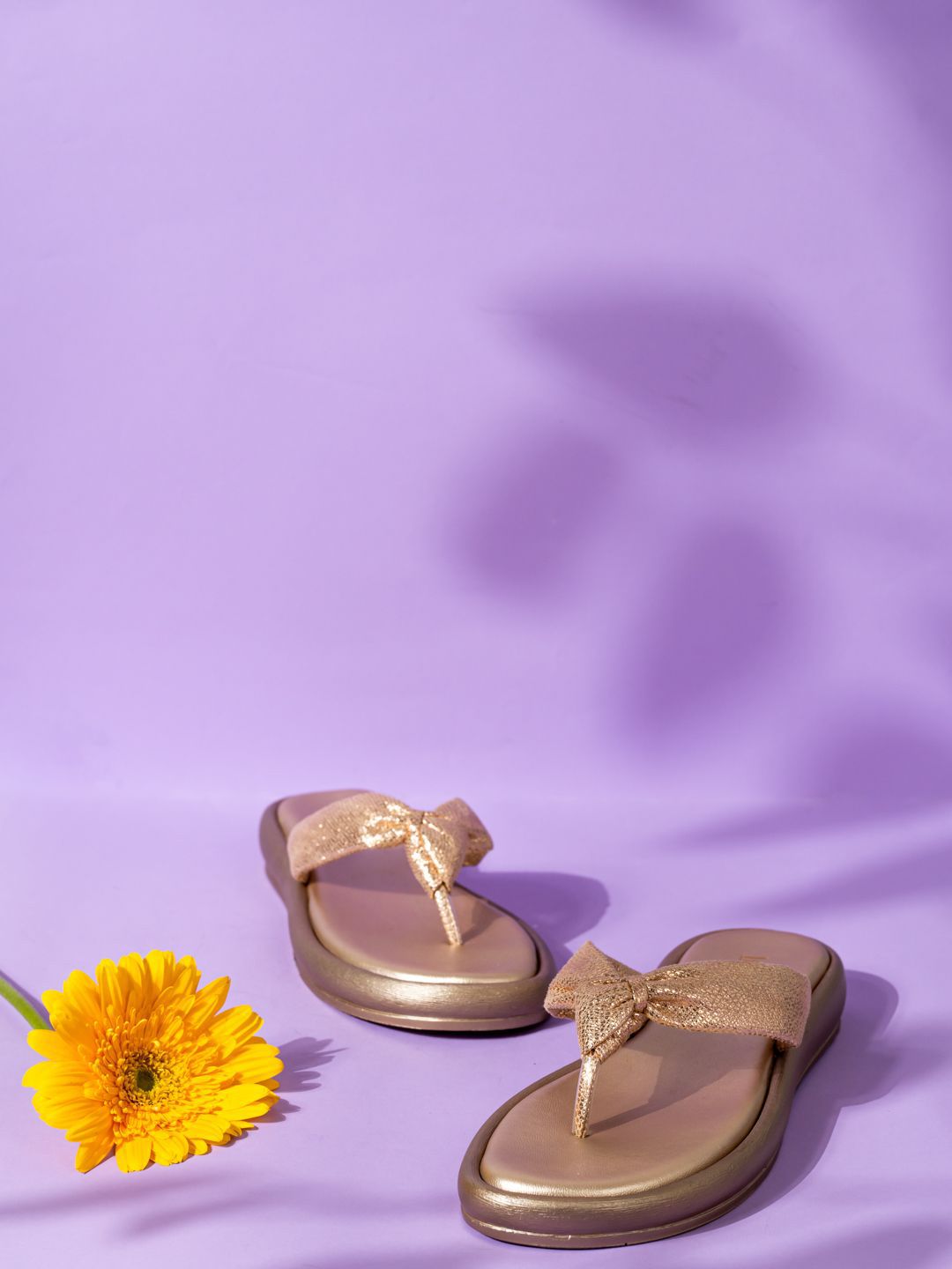 Inc 5 Women Embellished T-Strap Flats with Bows-picture-17