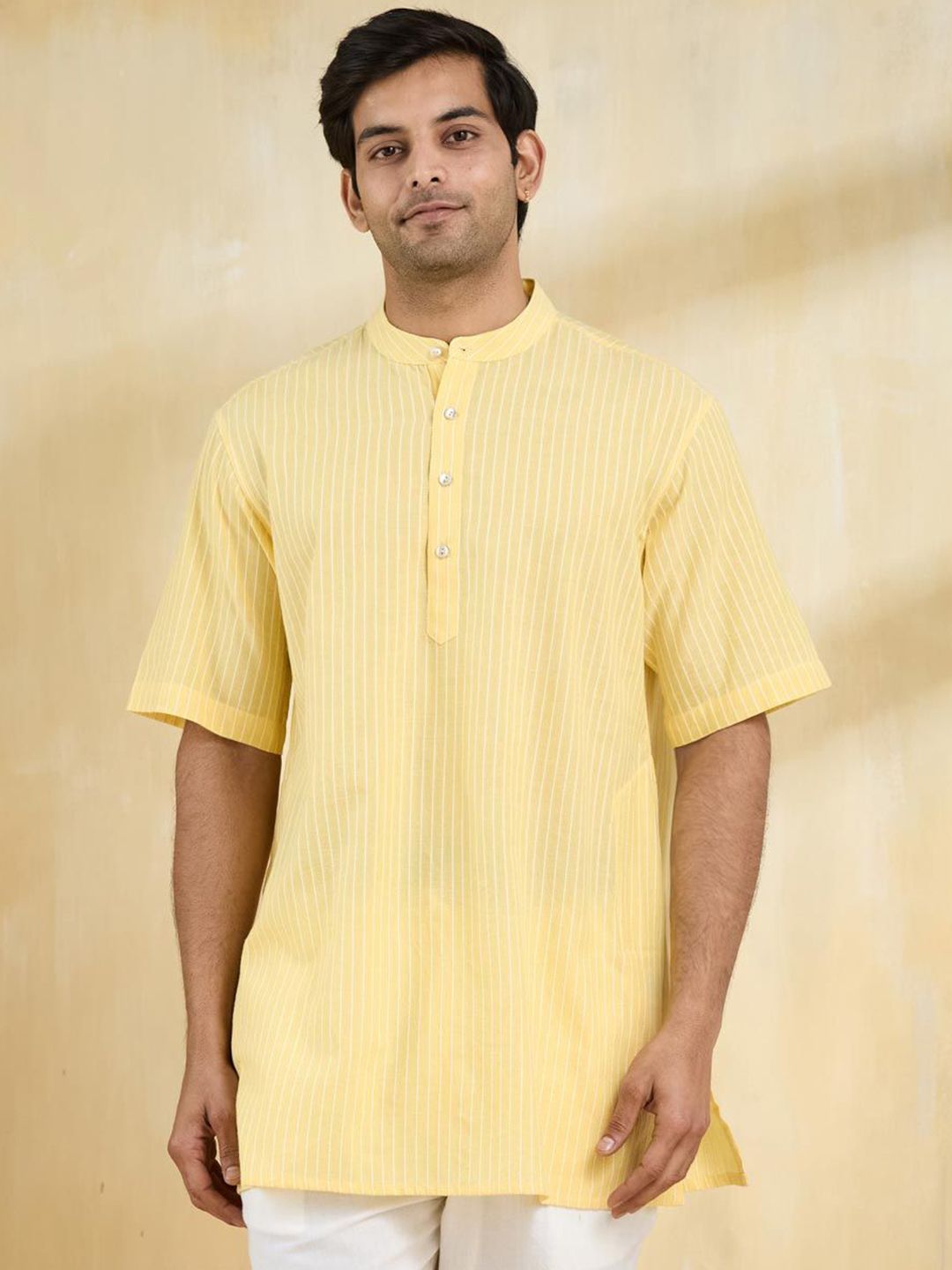 Fabindia Men Striped Thread Work Kurta-picture-33