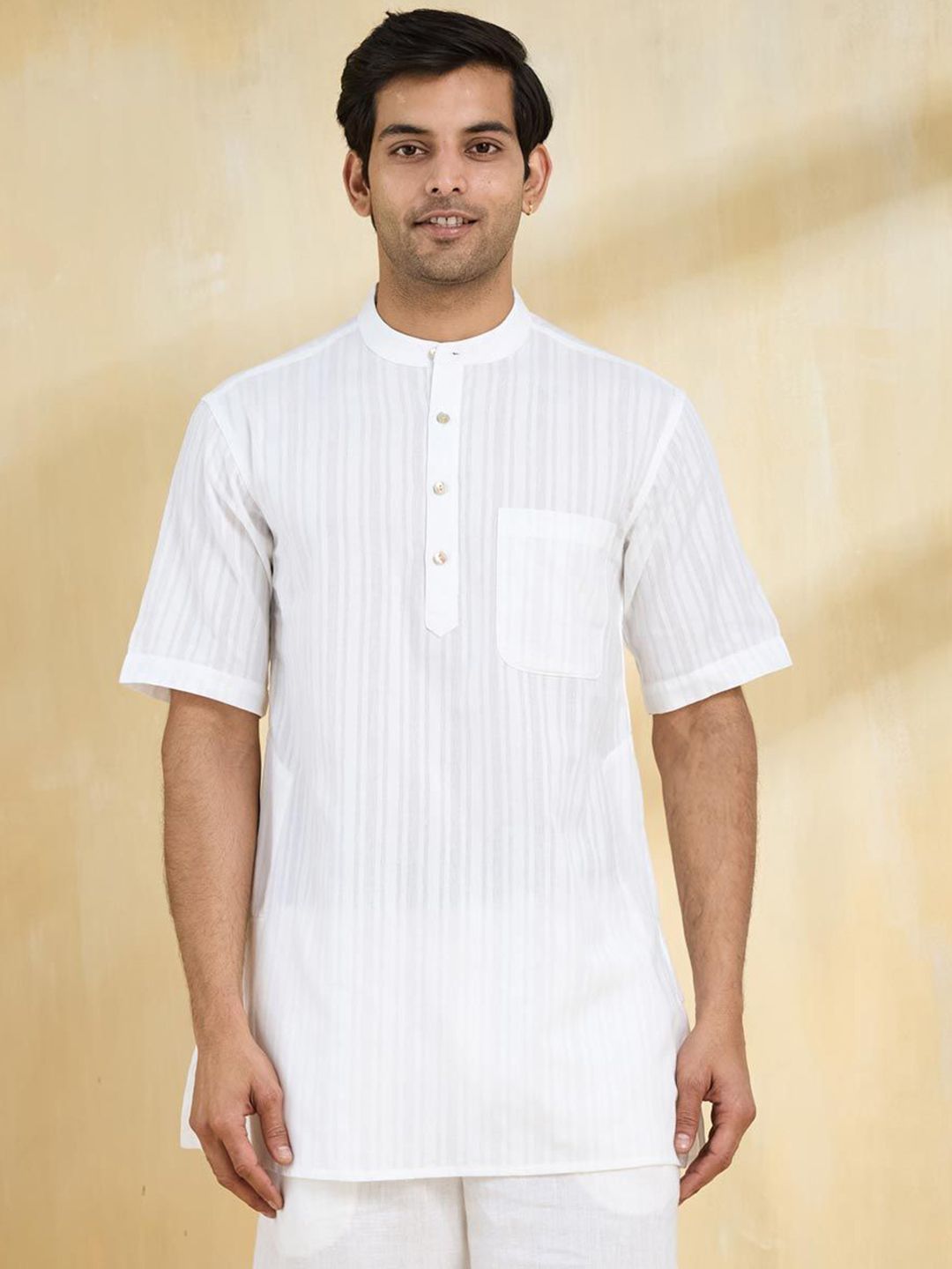 Fabindia Men Striped Thread Work Kurta-picture-18