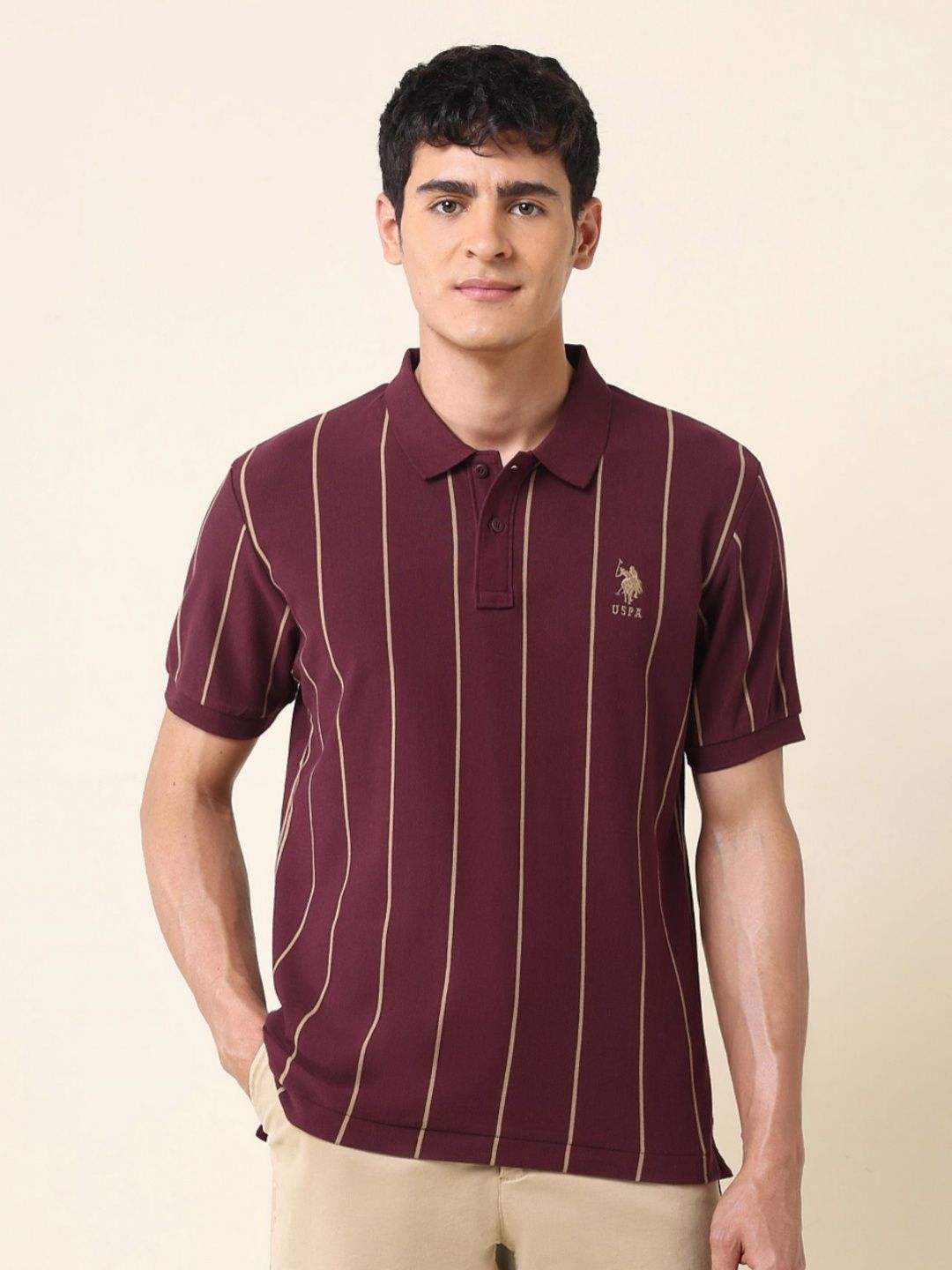 U.S. Polo Assn. Men Striped Slim Fit Cotton T-shirt-picture-48