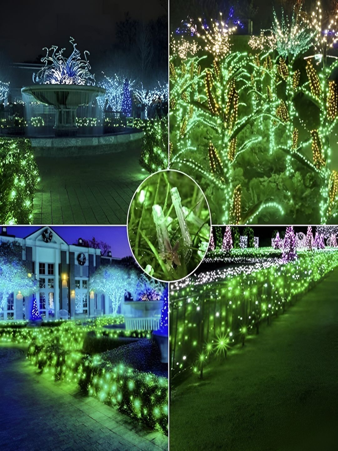 KAVYARA Green Rice Shape String Light-image-19