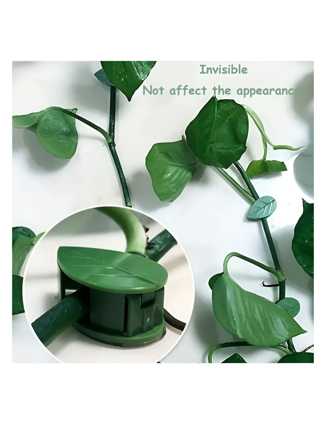 DeoDap Set of 10 Green Plant Climbing Self-Adhesive Vines Support Hooks-picture-56