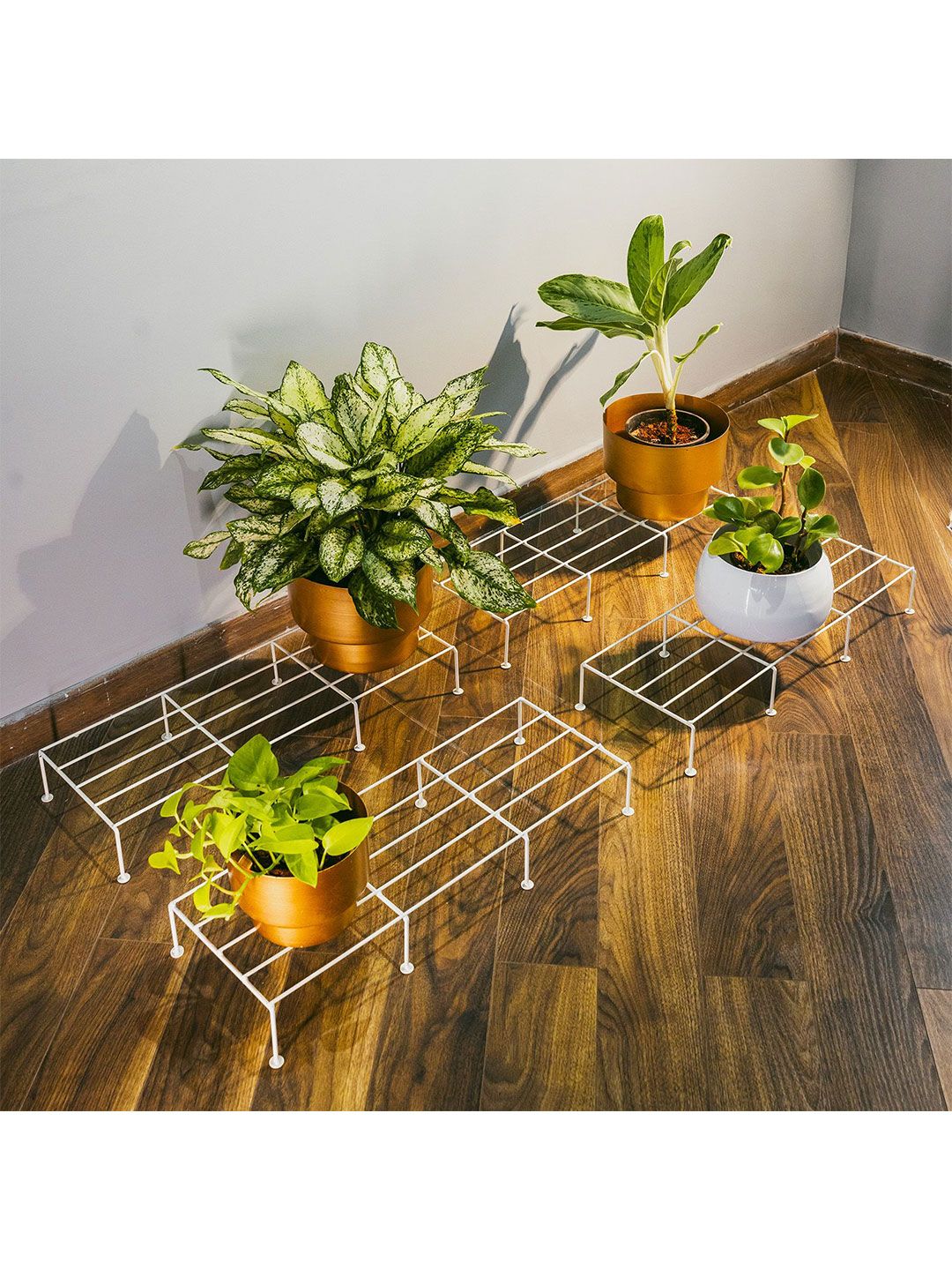 TRUSTBASKET 4-Pcs White Bold Planter Stand-image-1