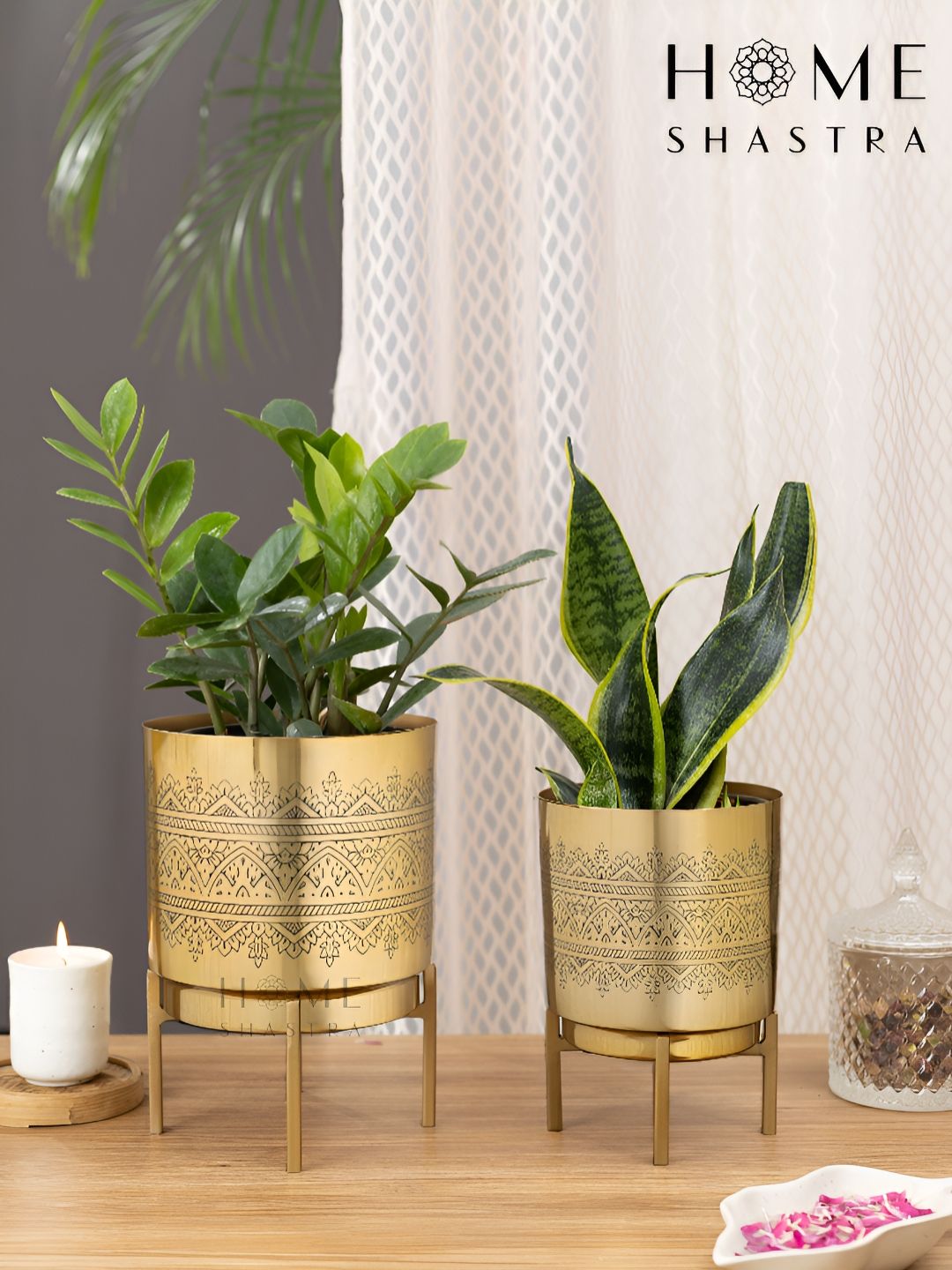 HomeShastra Raaga 2-Pcs Intricate Engraving Metal Planters-picture-36