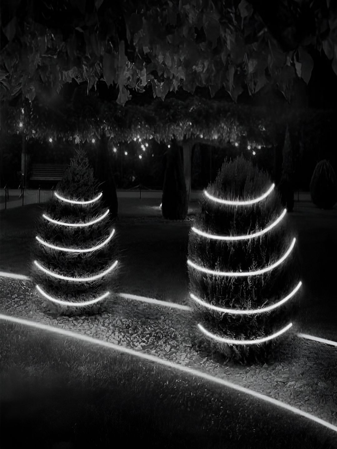 KAVYARA White Rice-Shaped LED Strip Lights14 m-picture-55