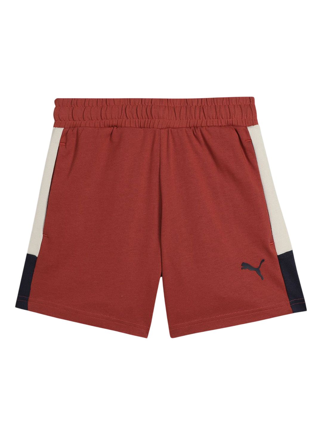 Puma Boys Colourblocked Regular Fit Cotton Regular Shorts-picture-13
