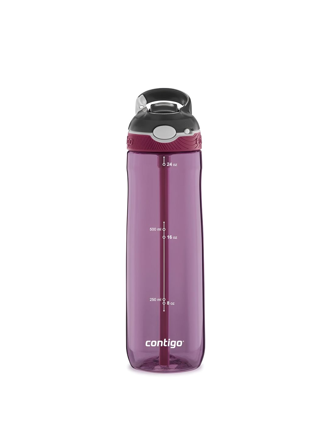Contigo Purple Single Tritan Printed Water Bottle