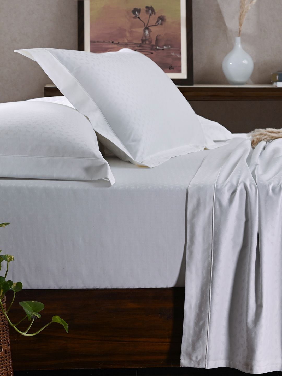 MASPAR Solid King Size Bedsheet with 2 Pillow Case & Gift Box-picture-39