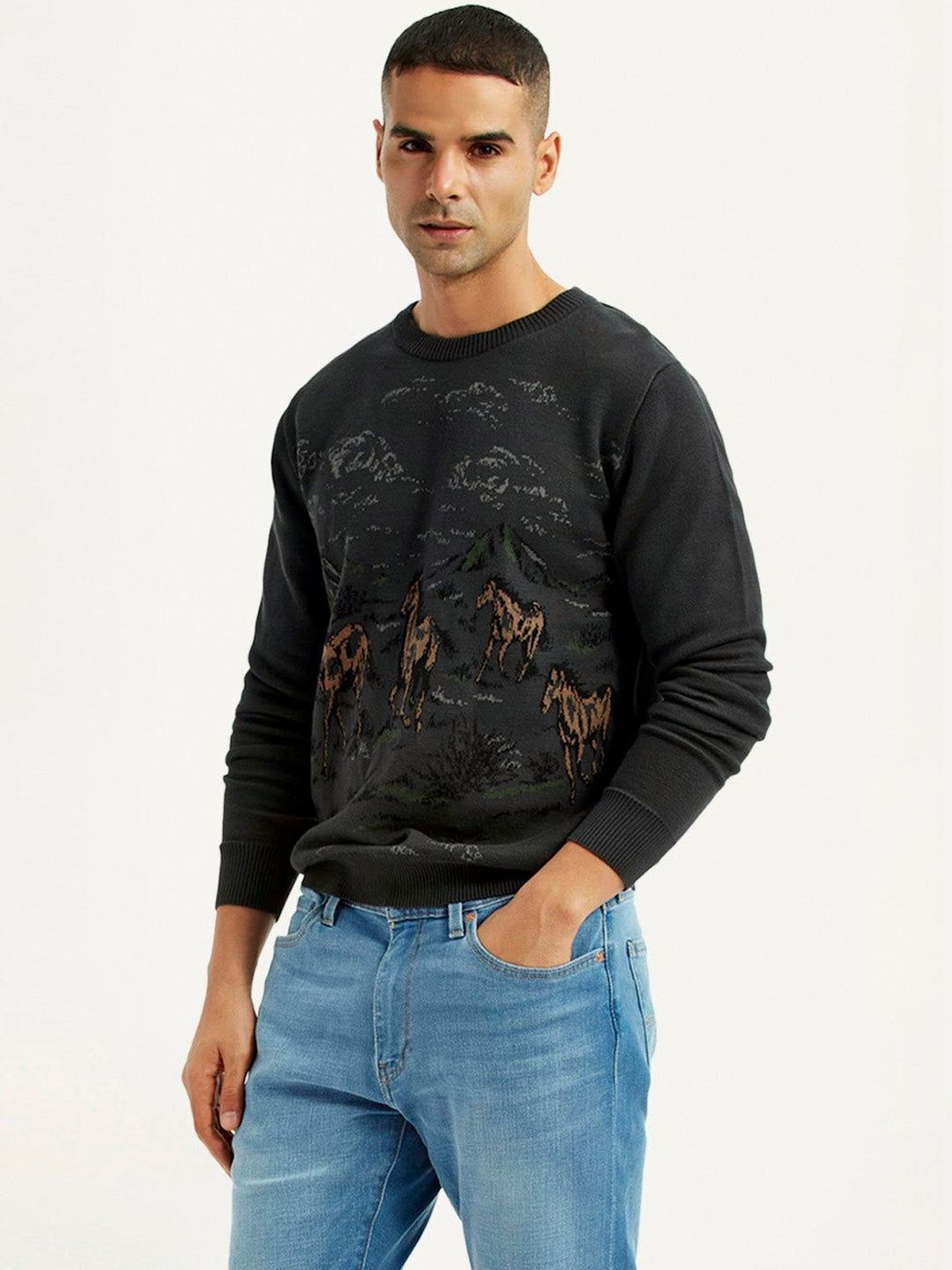 Levis Men Printed Pullover-picture-12